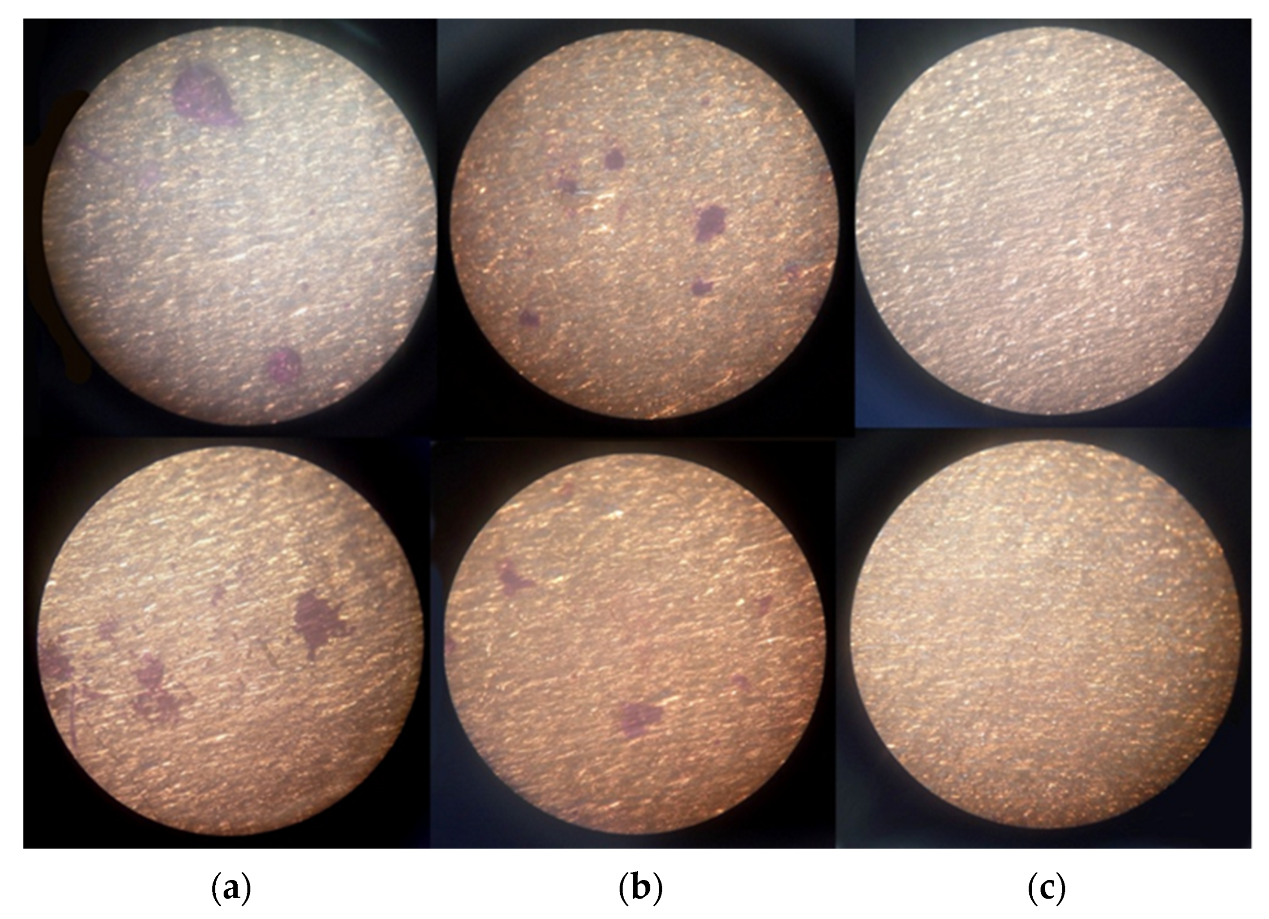 Osteology 01 00022 g004