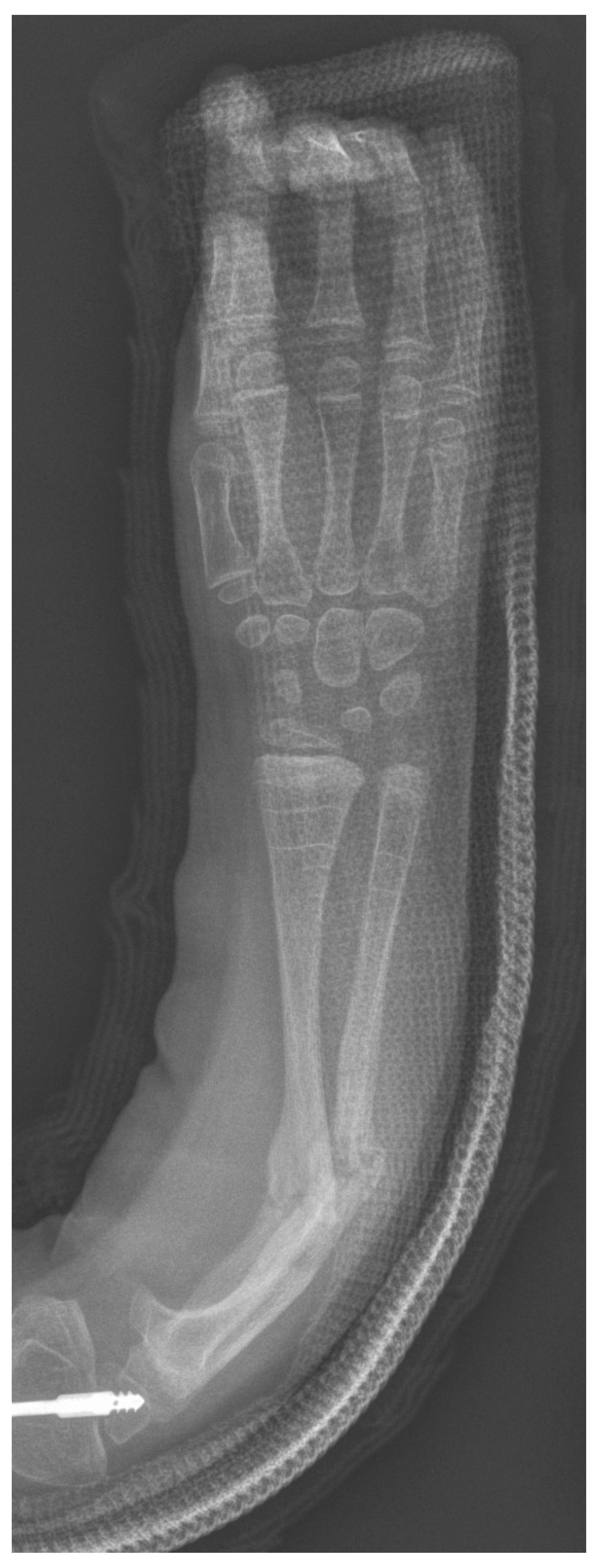 Osteology 02 00003 g001 550