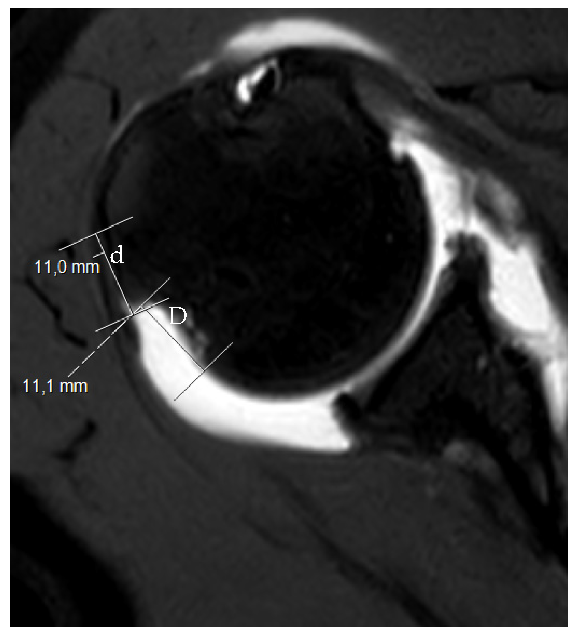 Osteology 02 00015 g003