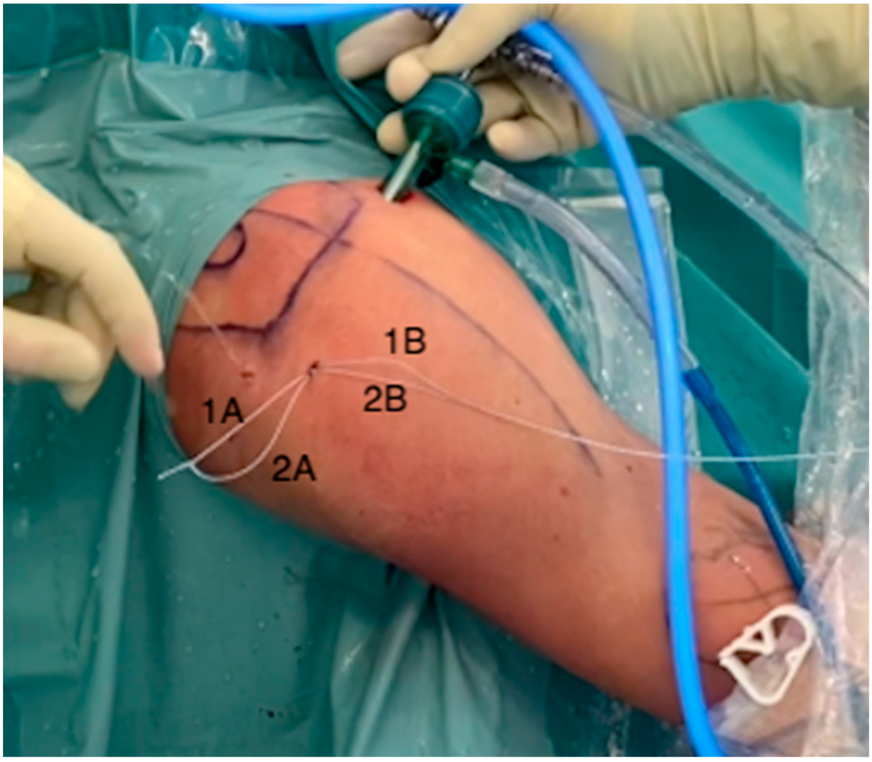 Osteology 02 00018 g003