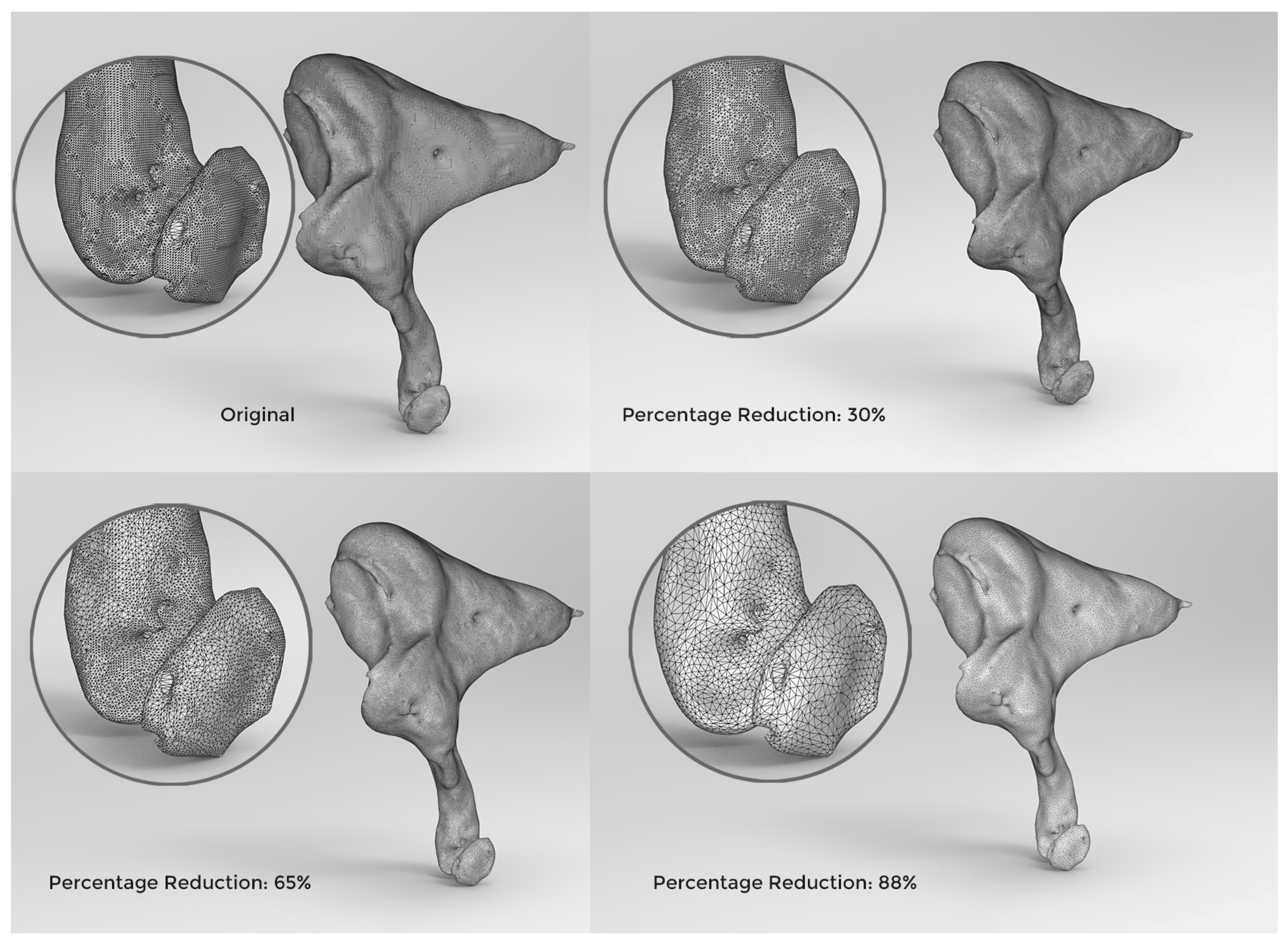 Osteology 03 00007 g003 Osteology 03 00007 g003