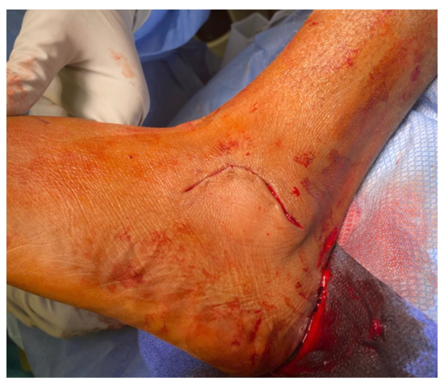 Osteology 03 00013 g002