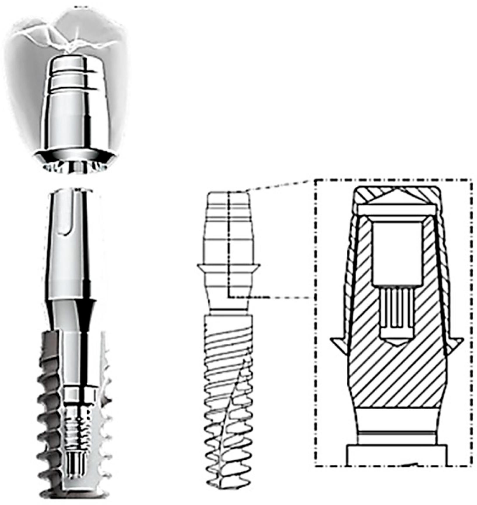 Osteology 03 00015 g001