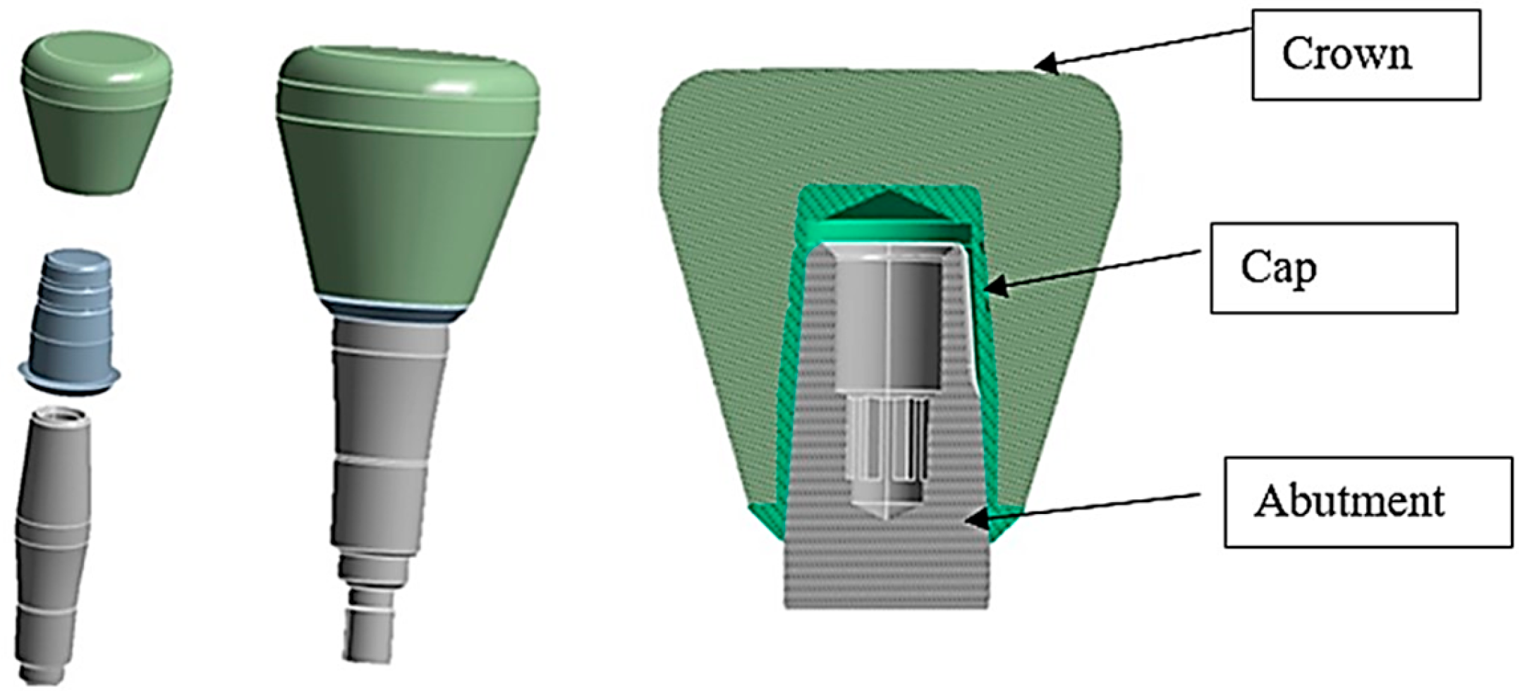 Osteology 03 00015 g003