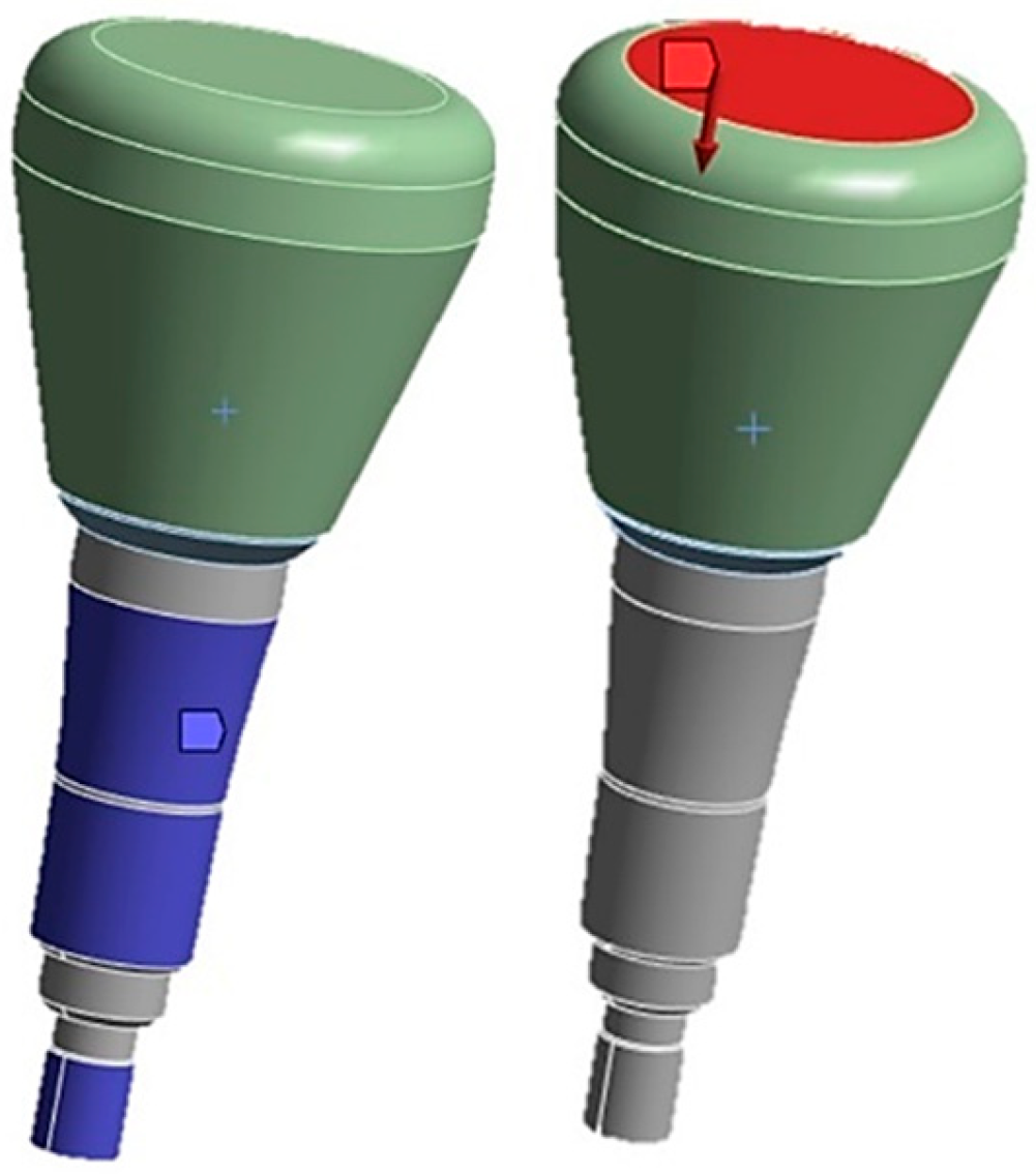 Osteology 03 00015 g007