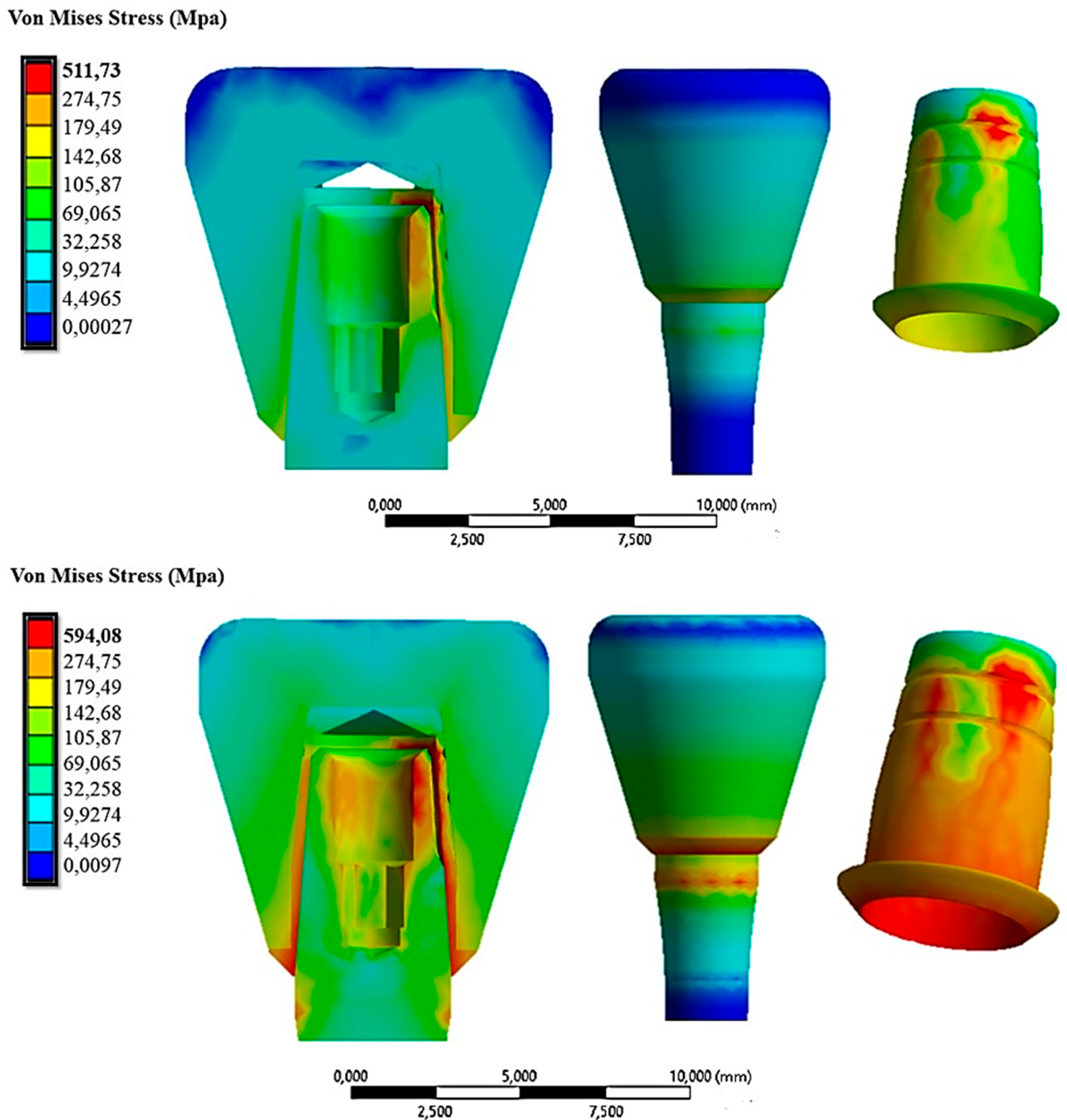 Osteology 03 00015 g011