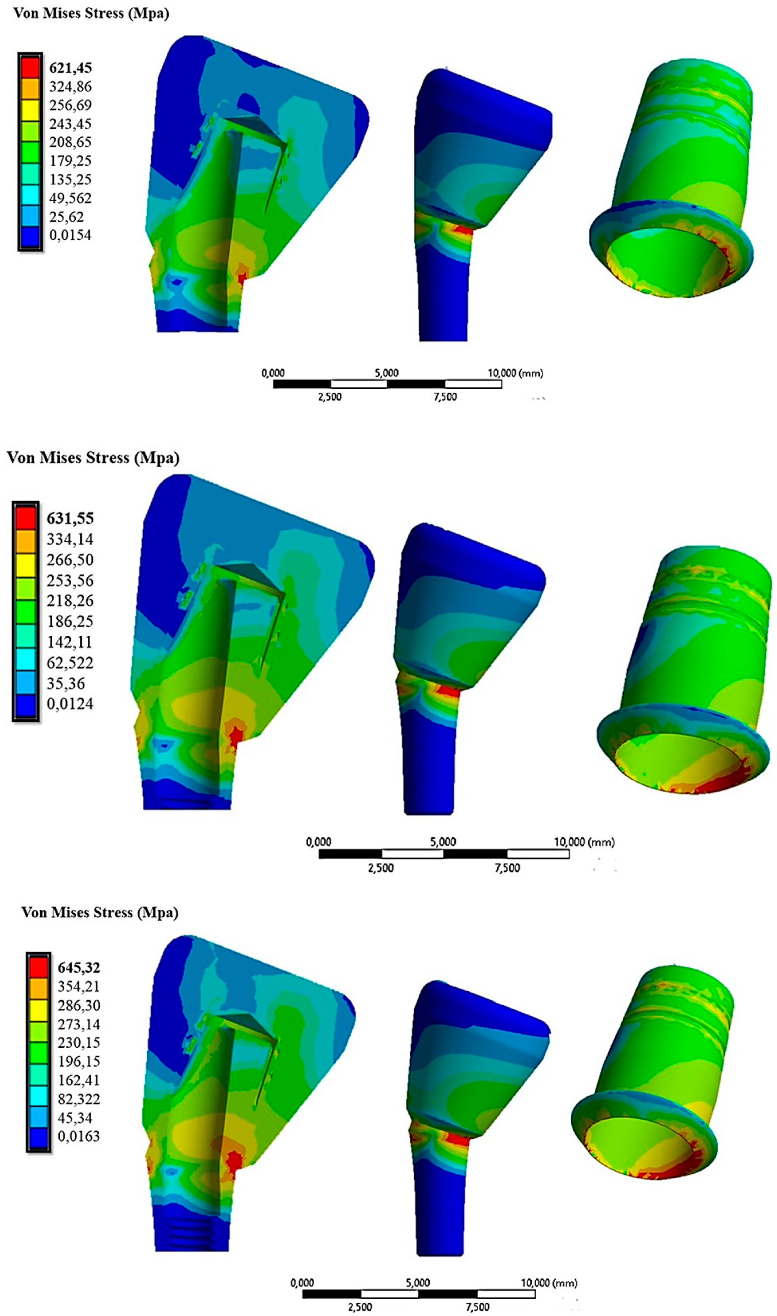 Osteology 03 00015 g014
