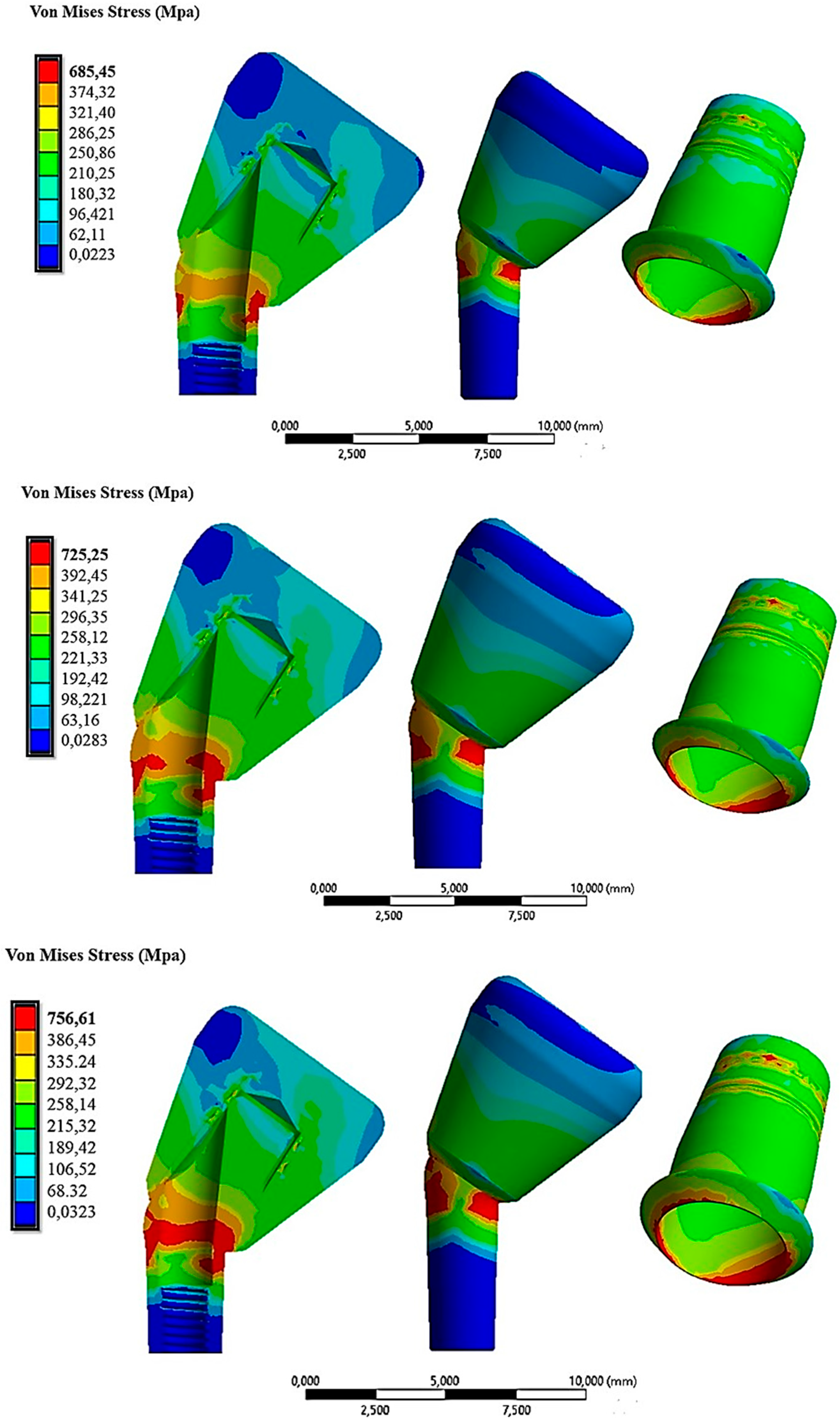 Osteology 03 00015 g015