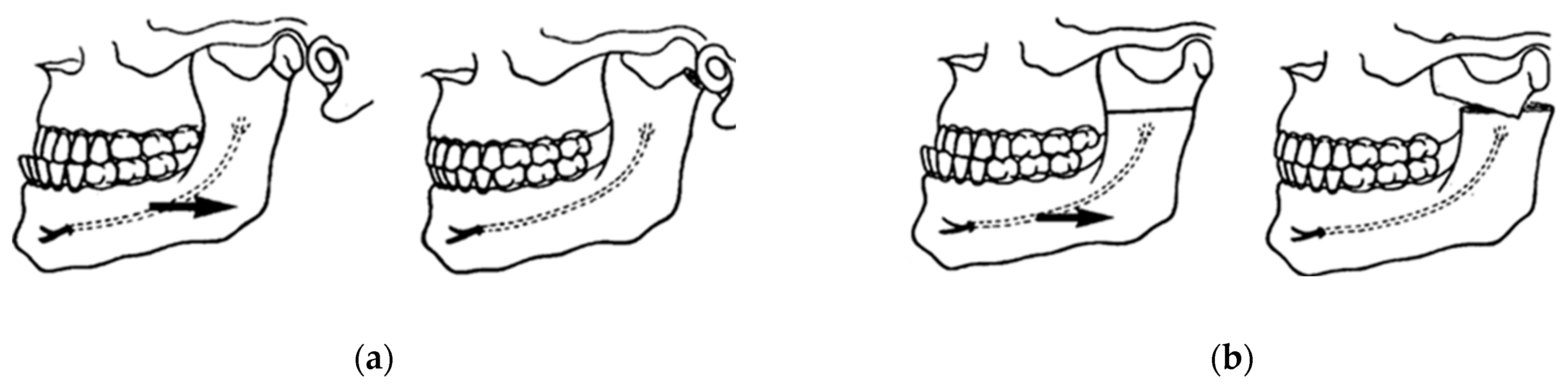 Osteology 04 00002 g002 Osteology 04 00002 g002