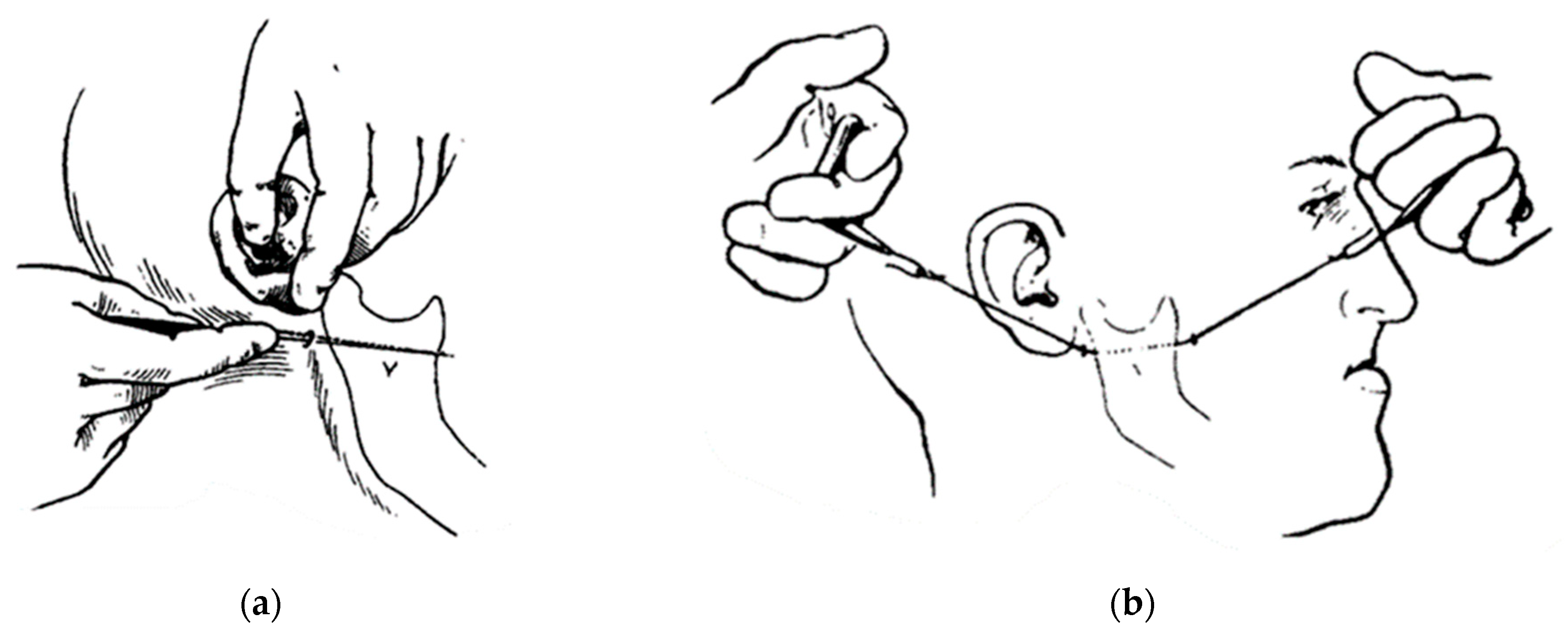 Osteology 04 00002 g003 Osteology 04 00002 g003