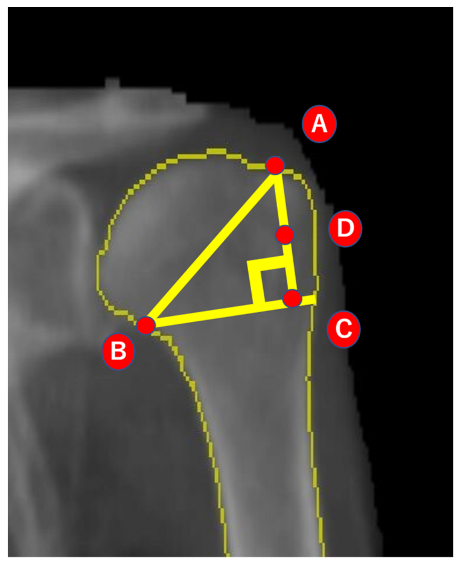 Osteology 04 00007 g002