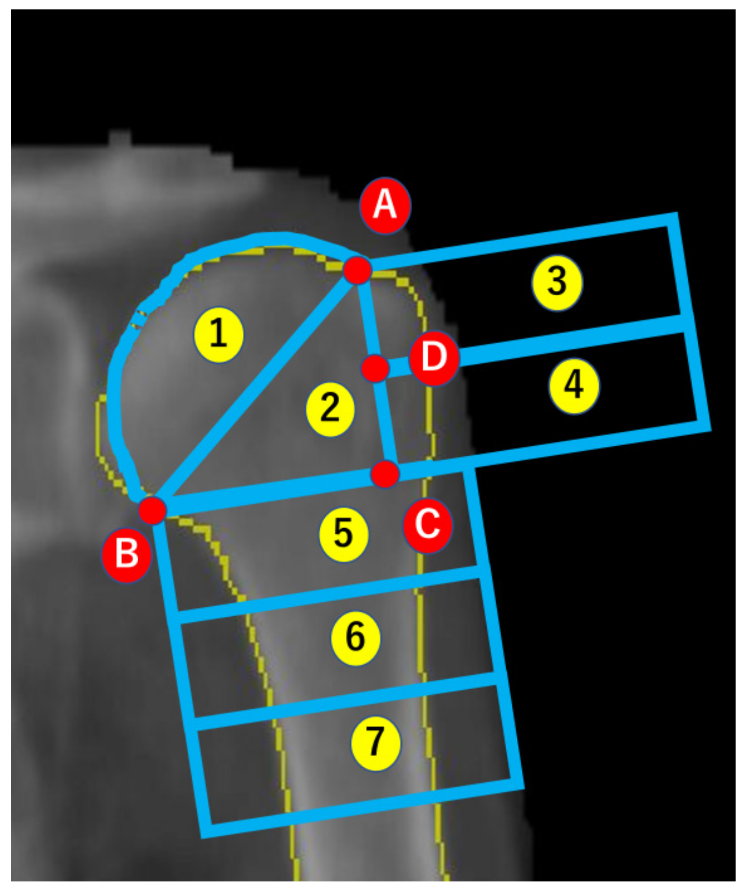 Osteology 04 00007 g003