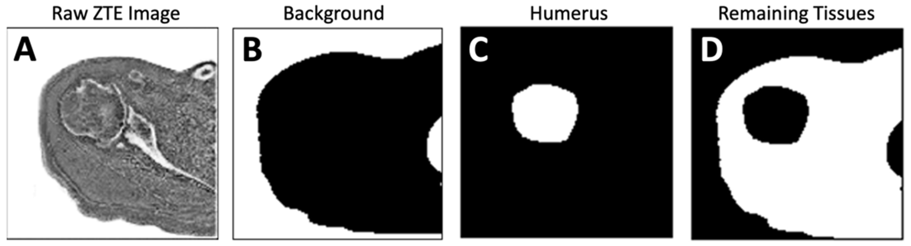 Osteology 04 00008 g003