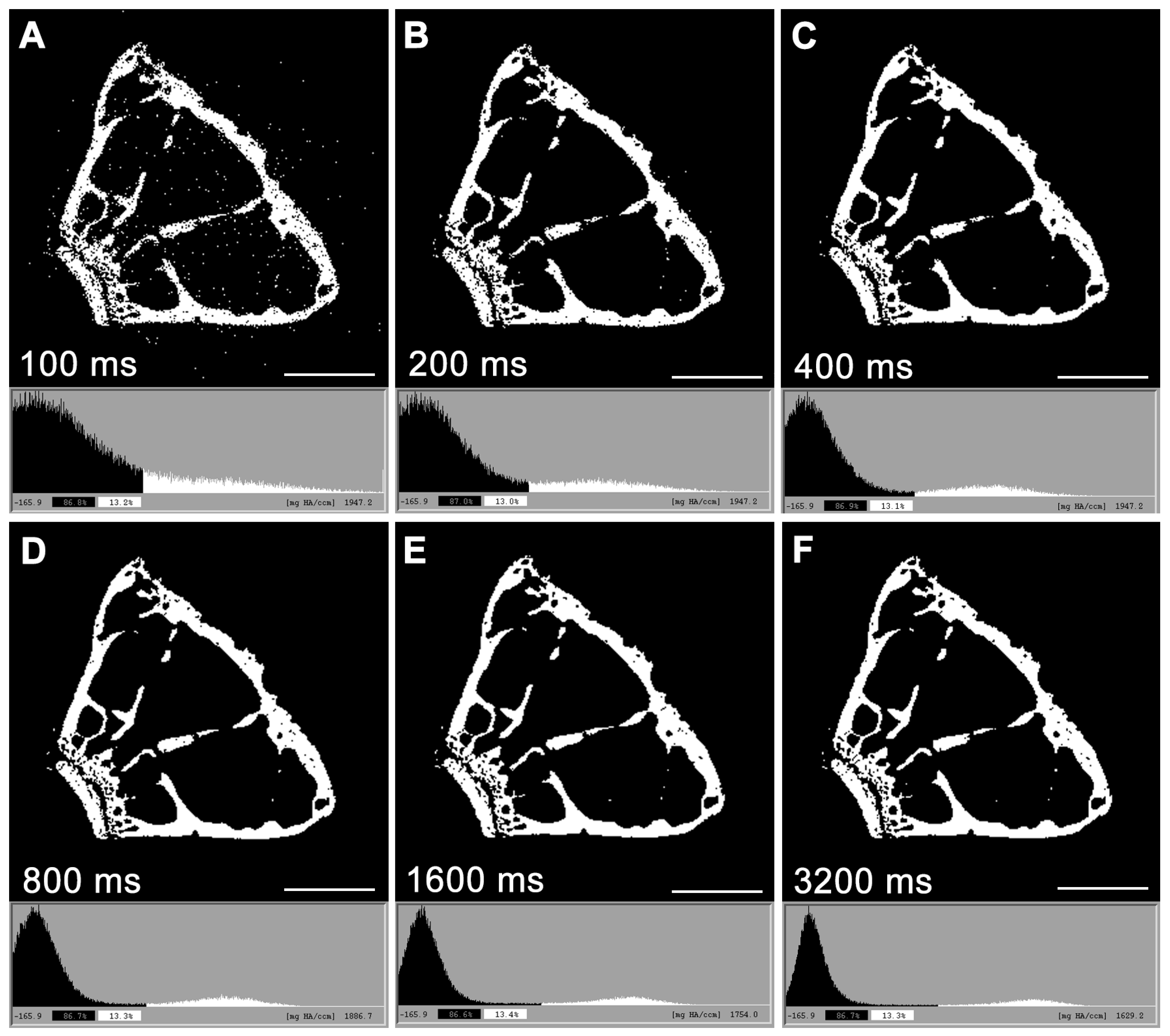 Osteology 04 00010 g004