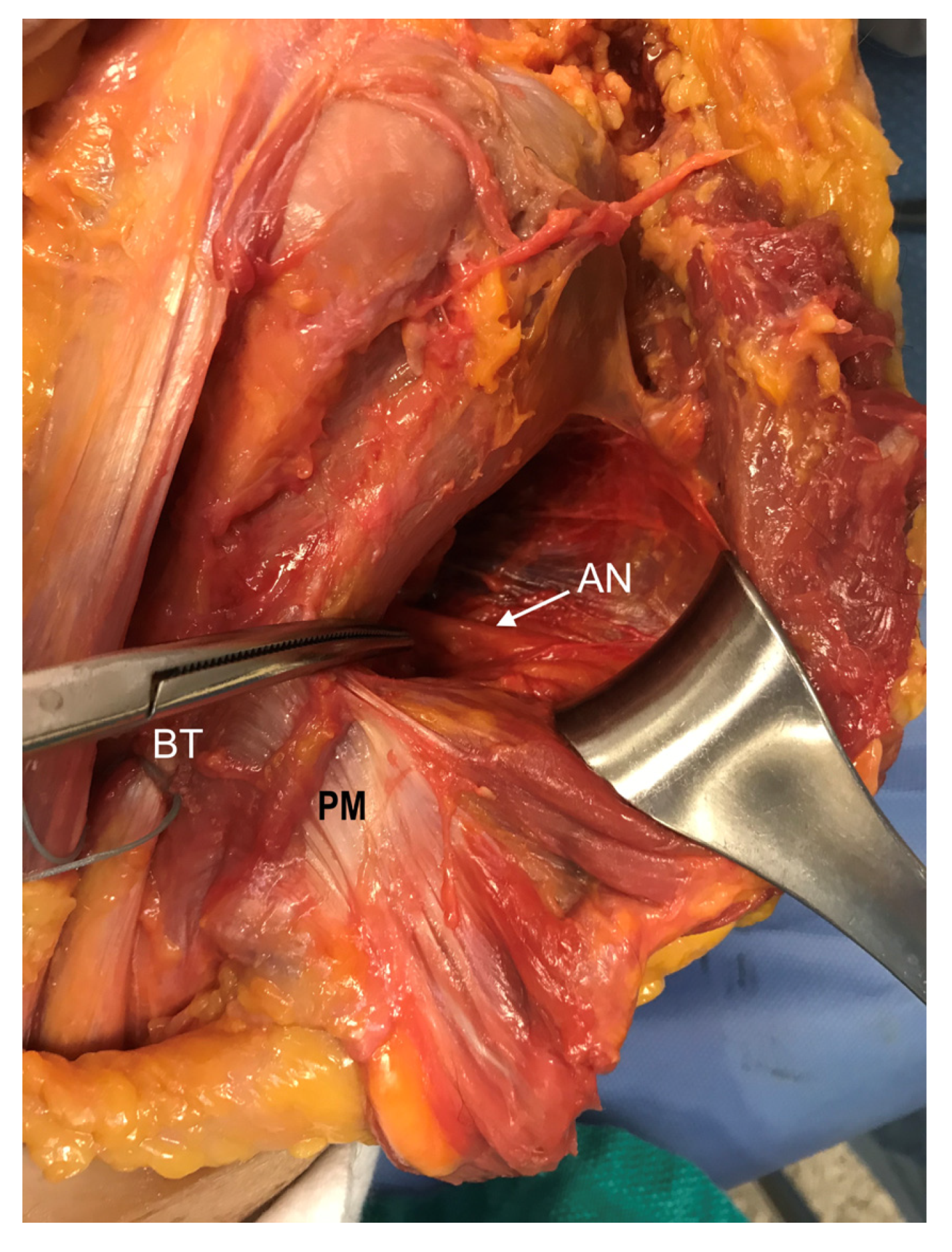Osteology 05 00004 g001