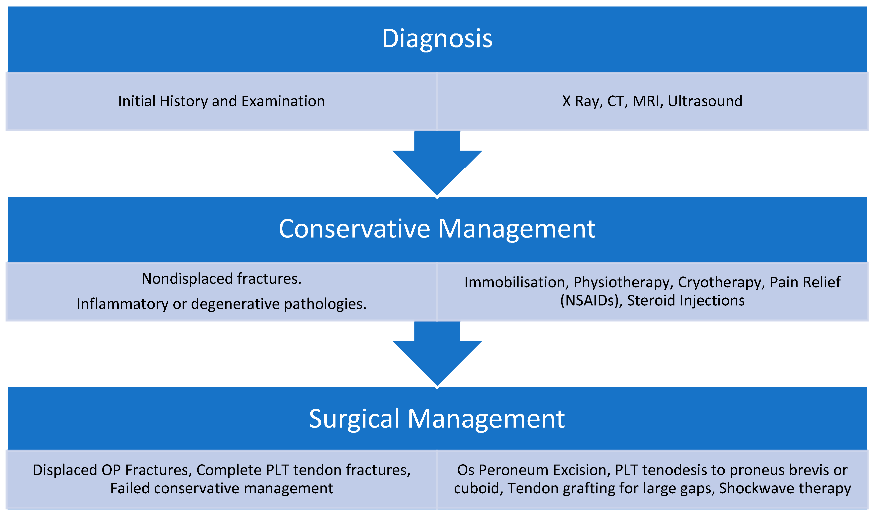 Osteology 05 00007 g002