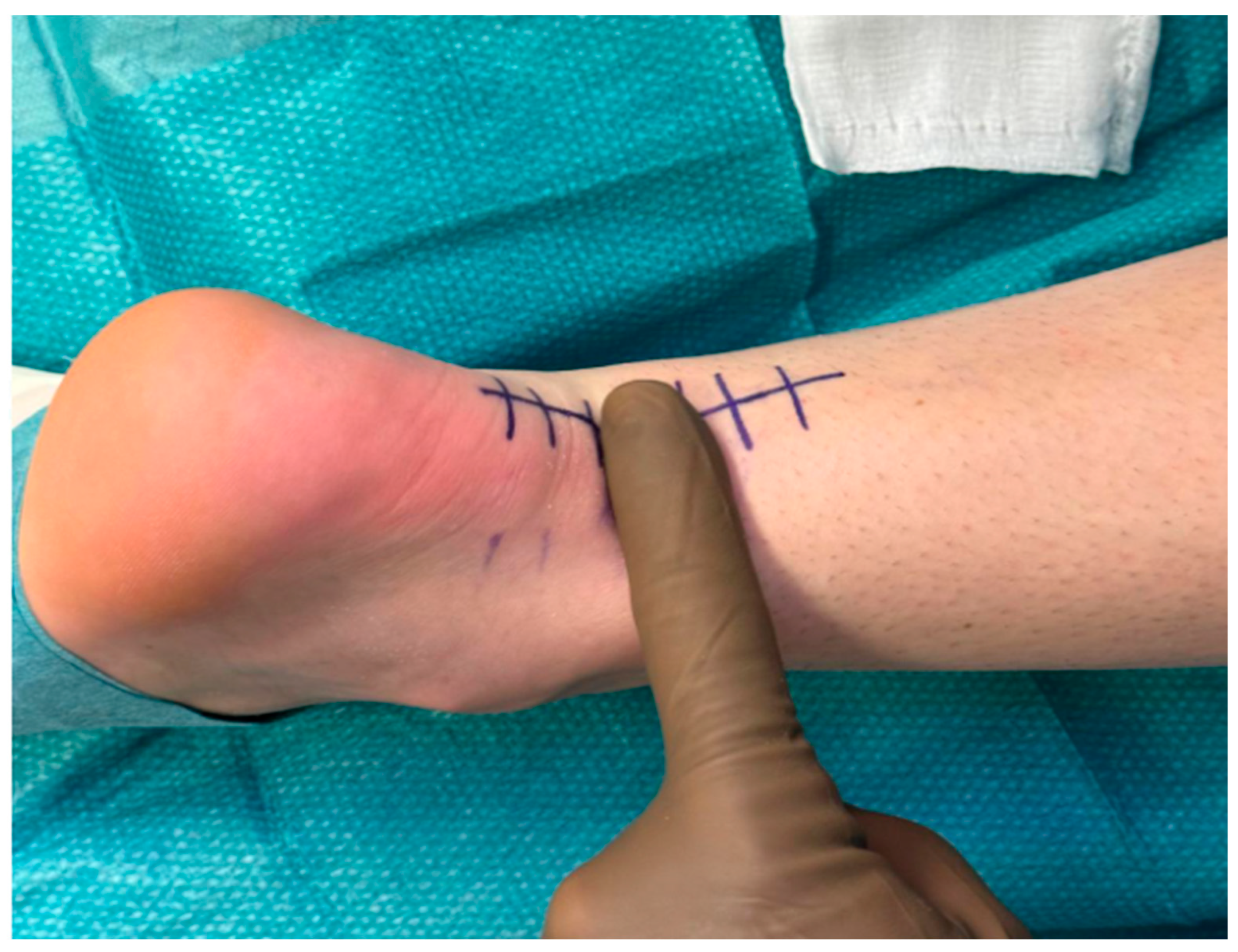 Osteology 05 00020 g001