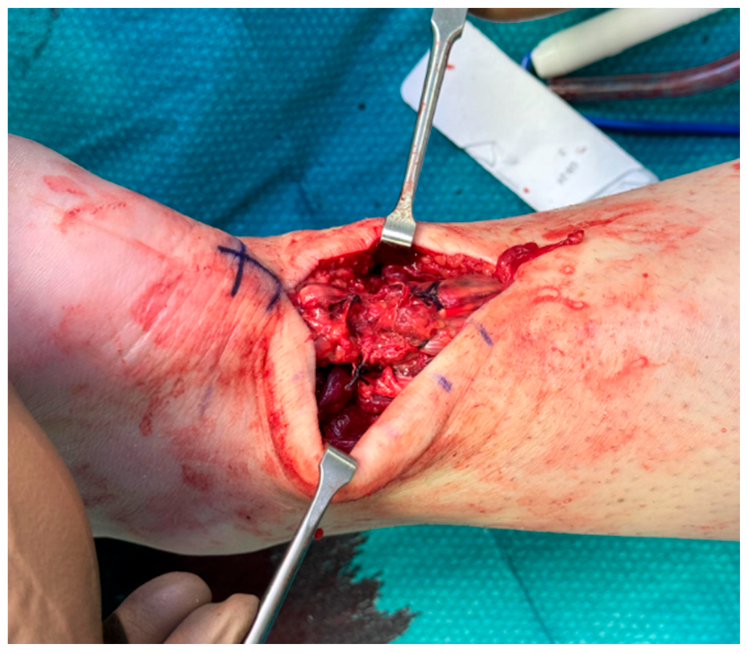 Osteology 05 00020 g003