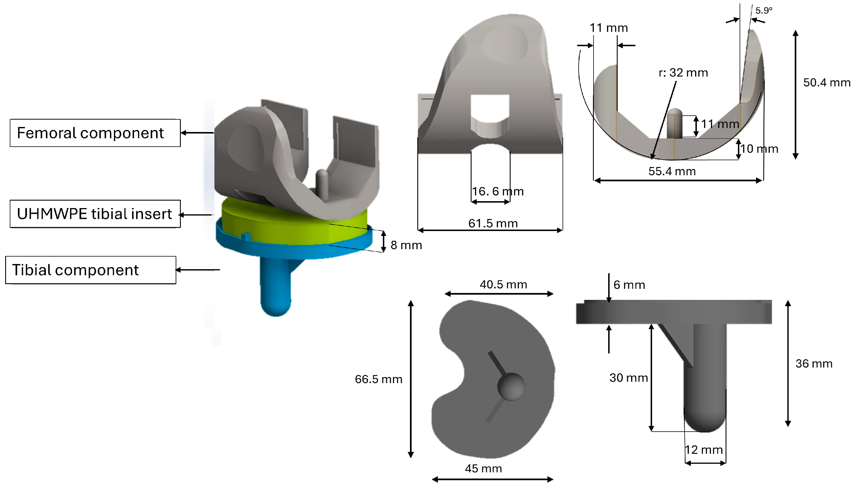 Osteology 05 00024 g001