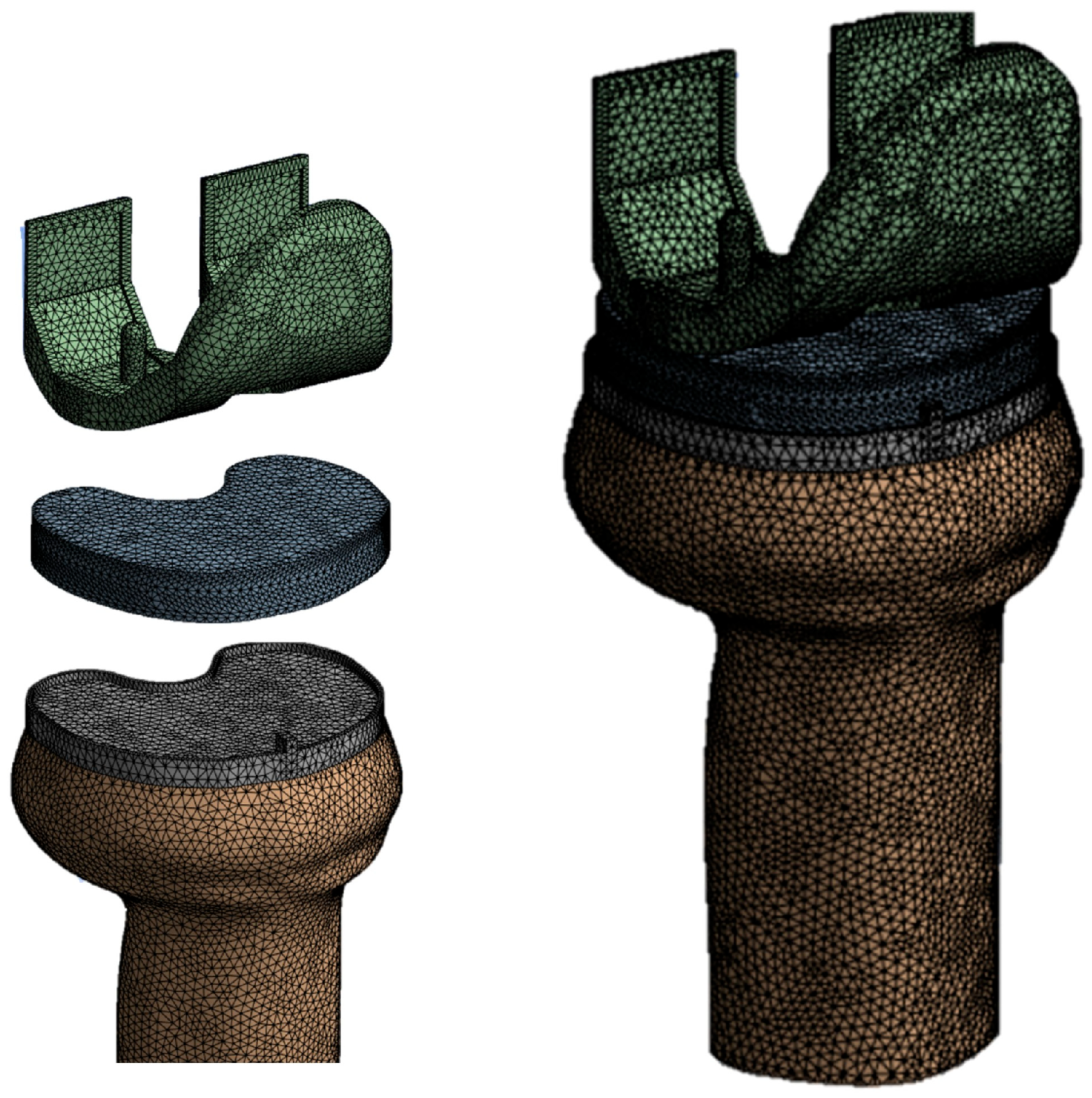 Osteology 05 00024 g003