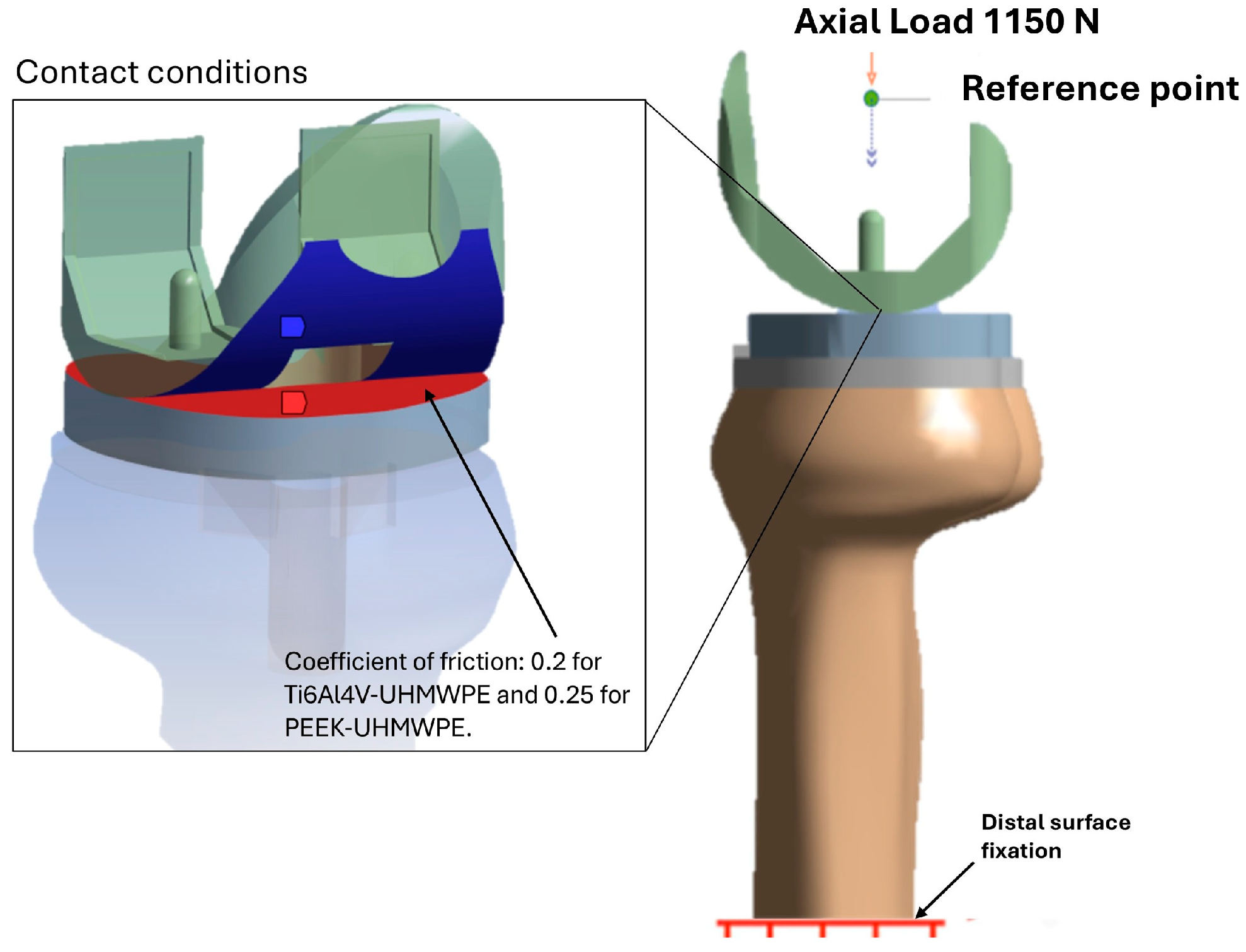 Osteology 05 00024 g004