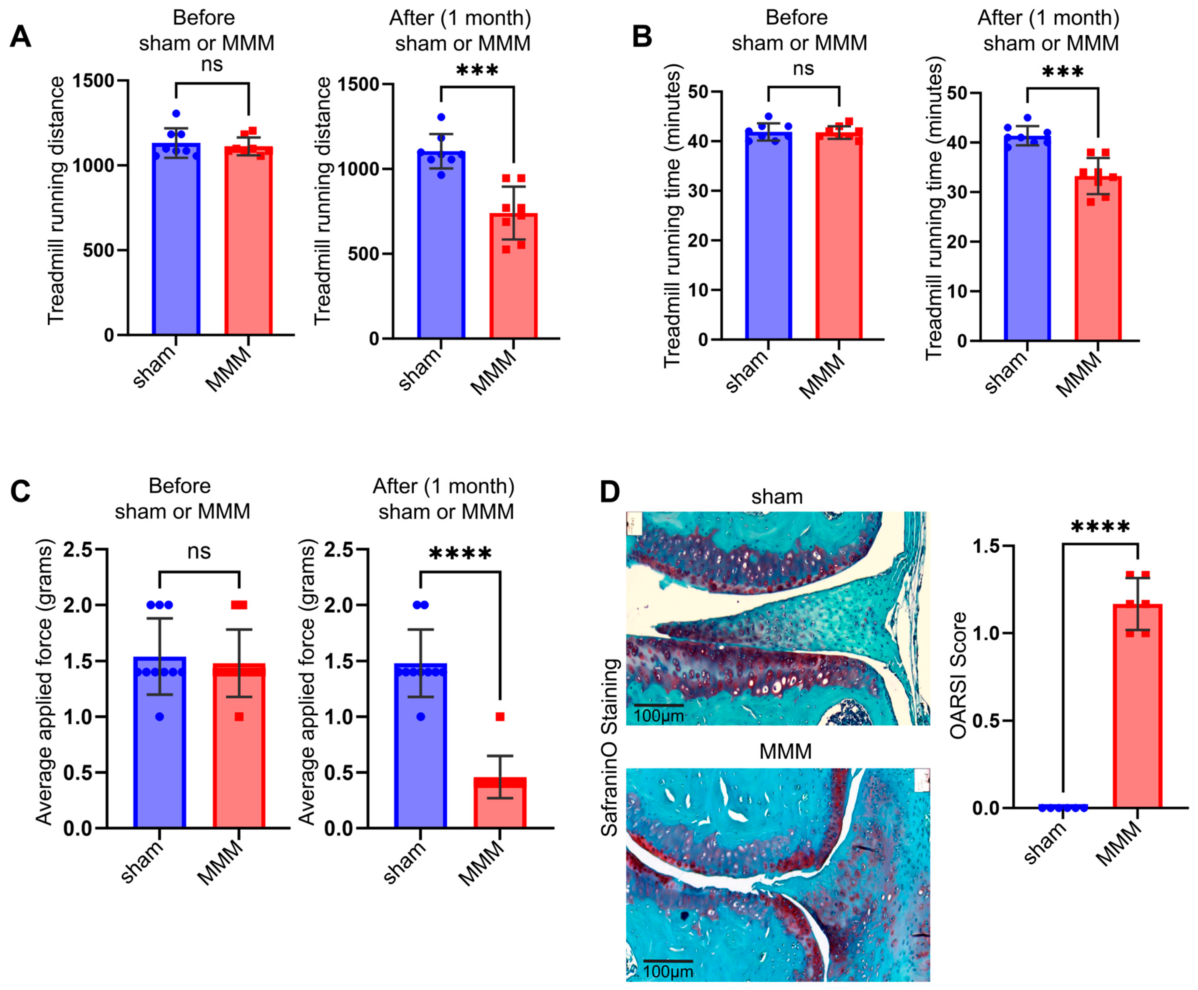 Osteology 05 00025 g002