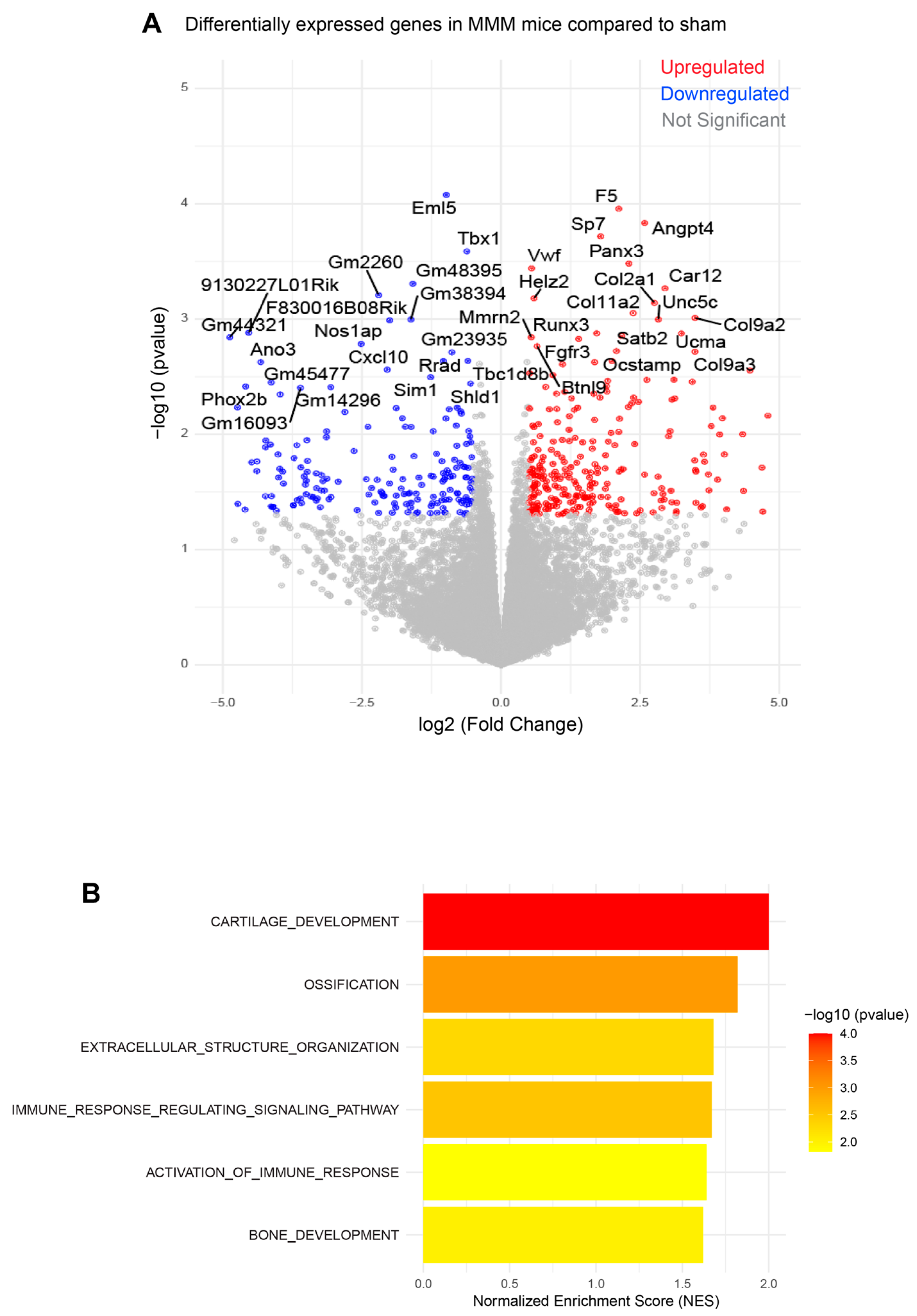 Osteology 05 00025 g003
