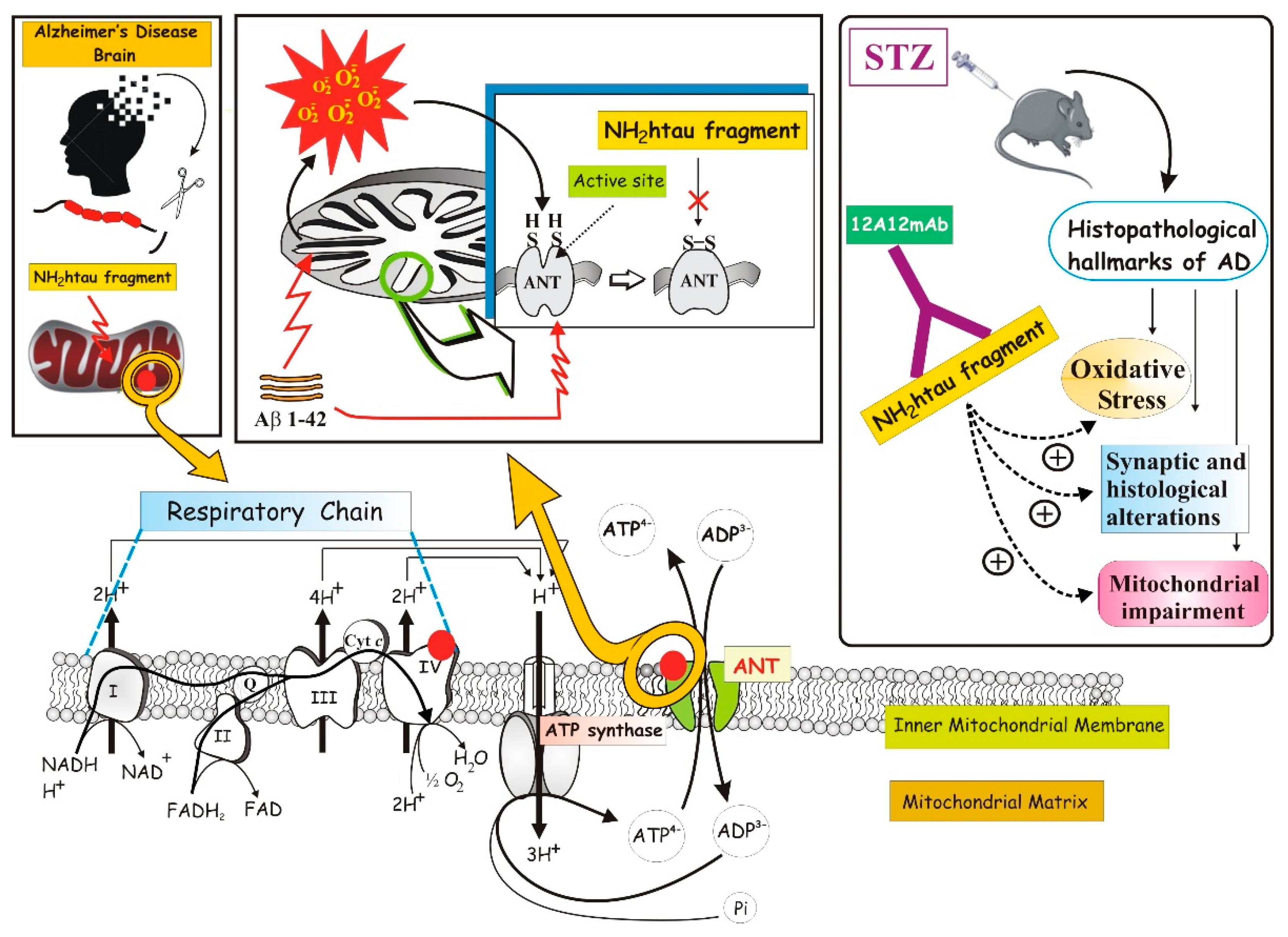 Oxygen 01 00010 g001 Oxygen 01 00010 g001