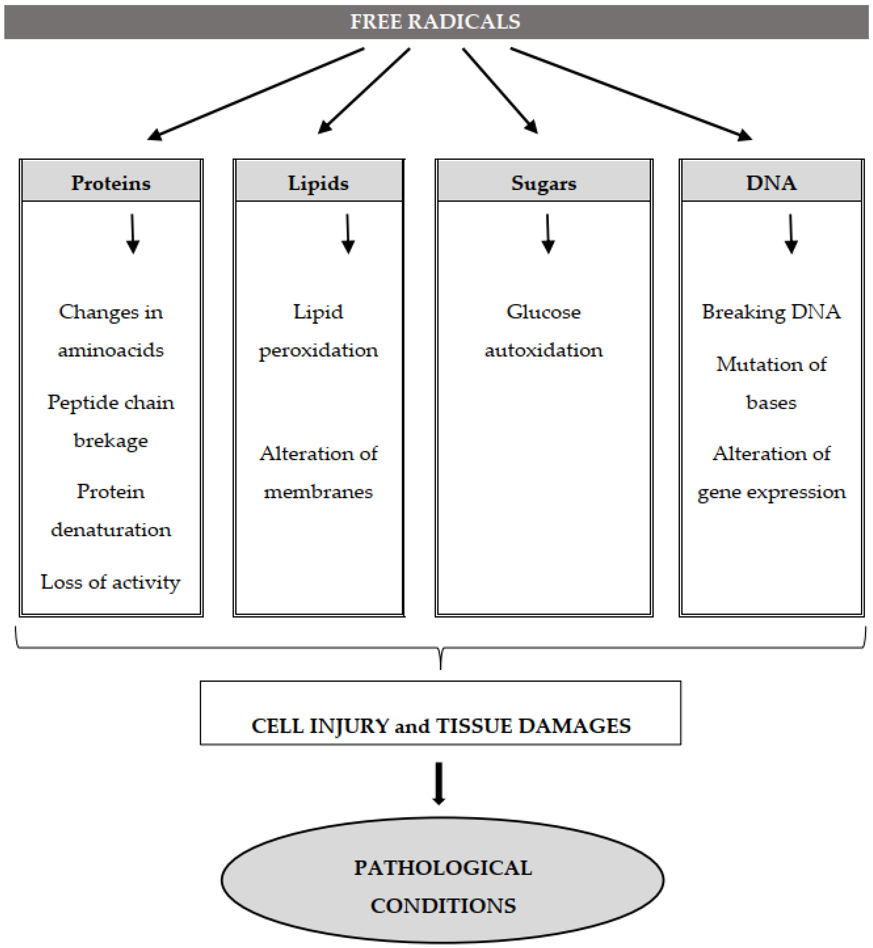Oxygen 02 00006 g002