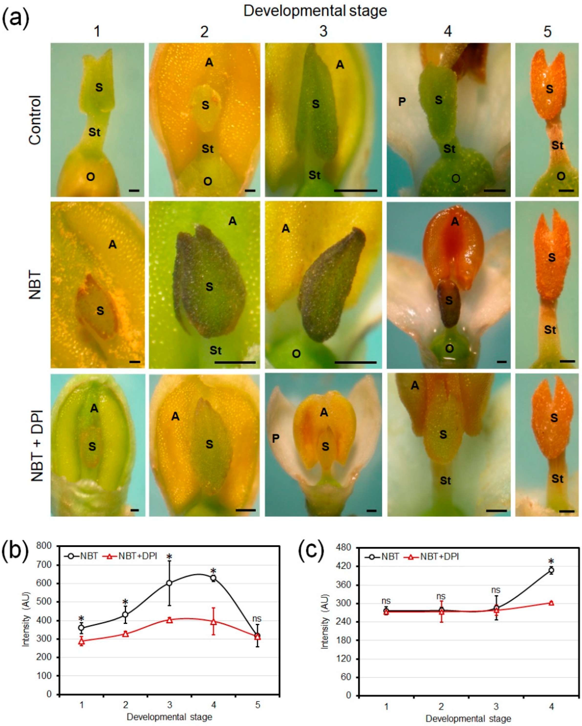 Oxygen 02 00007 g002