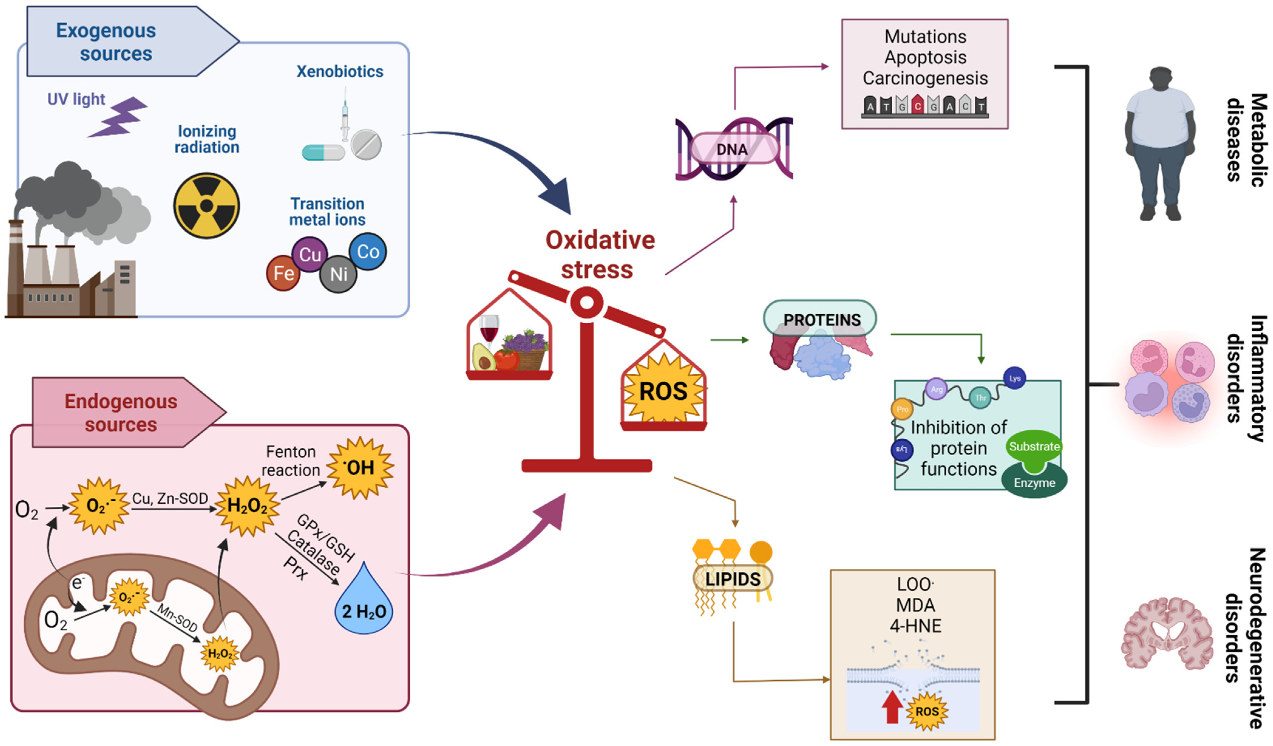 Oxygen 02 00015 g002