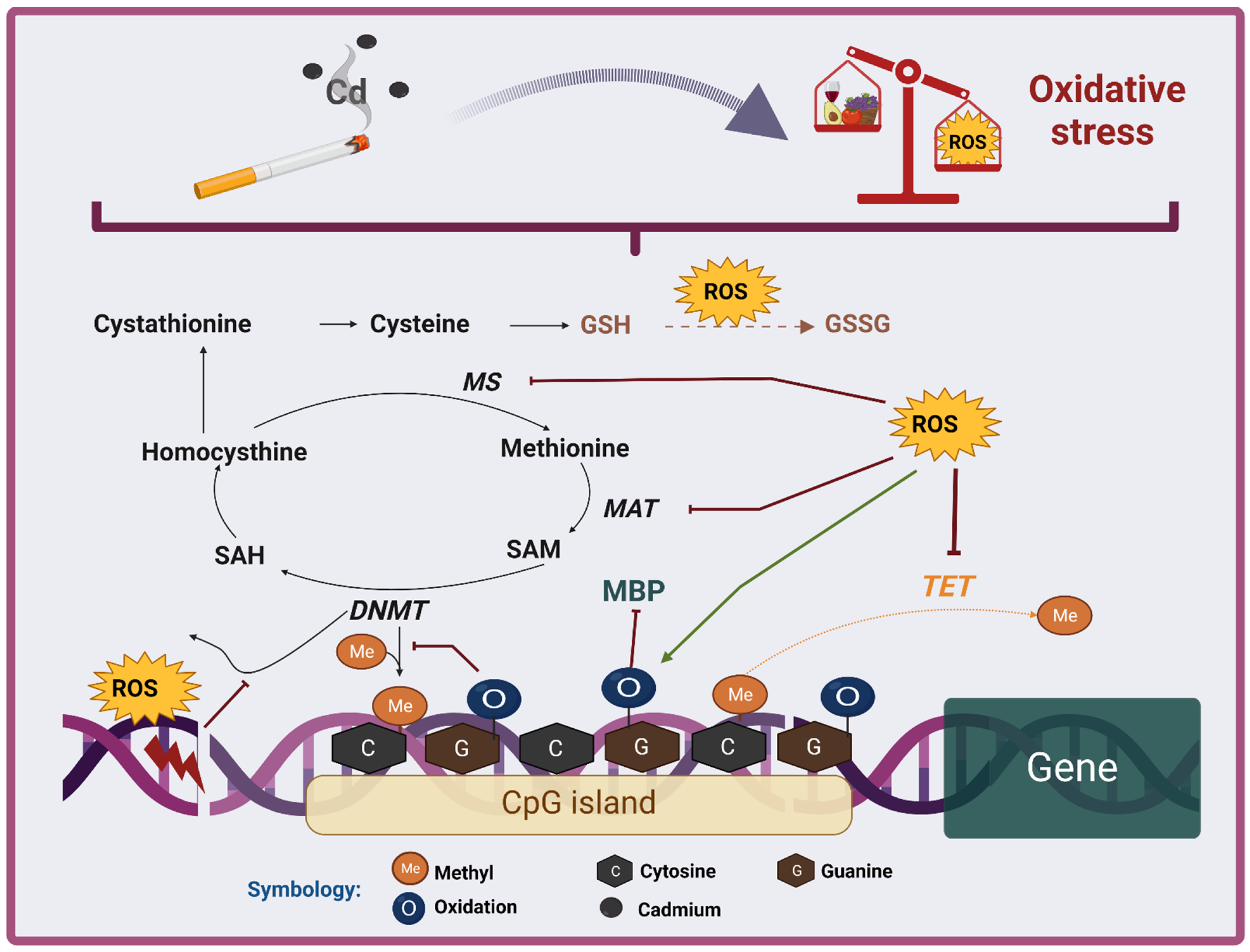 Oxygen 02 00015 g007