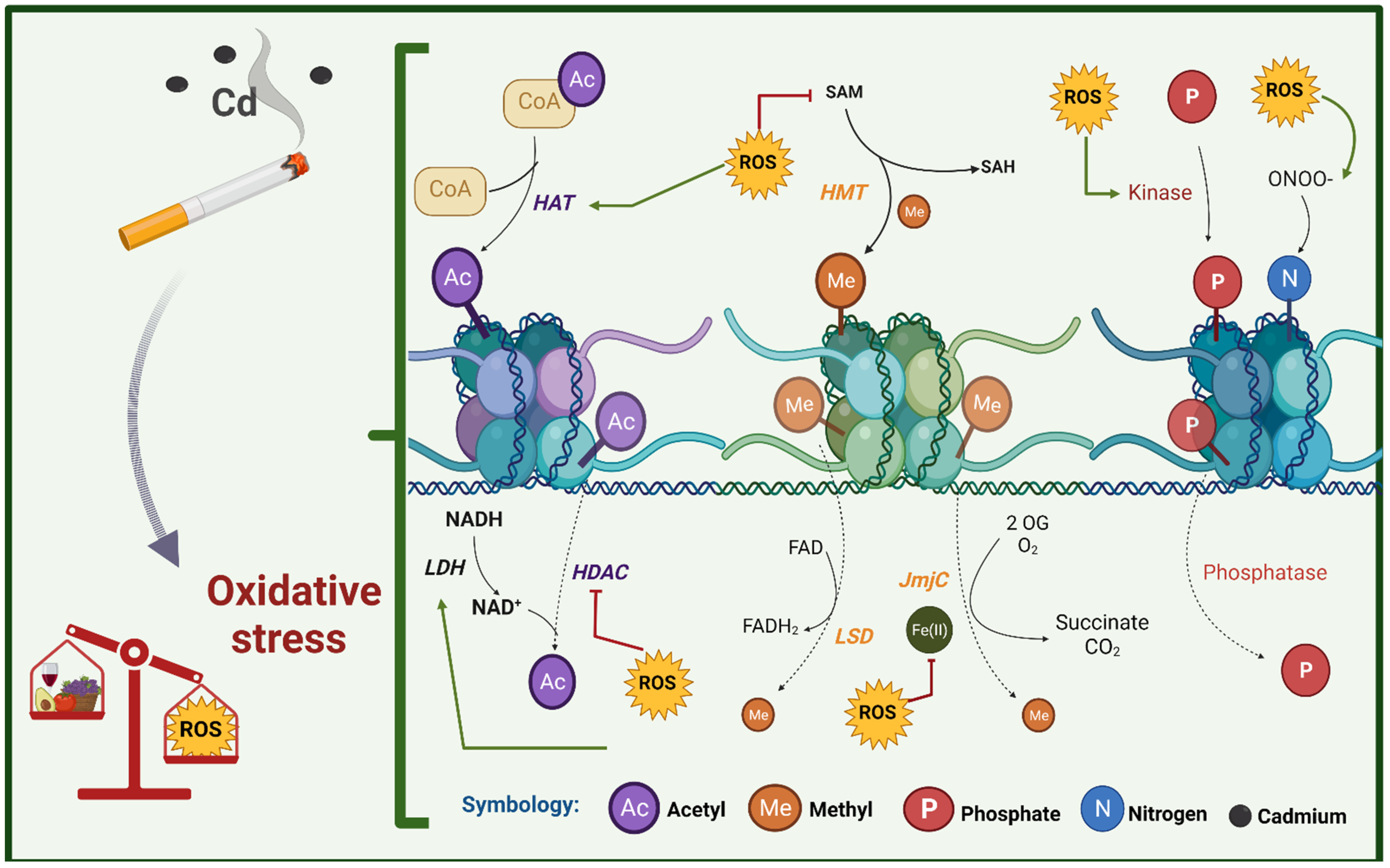 Oxygen 02 00015 g008