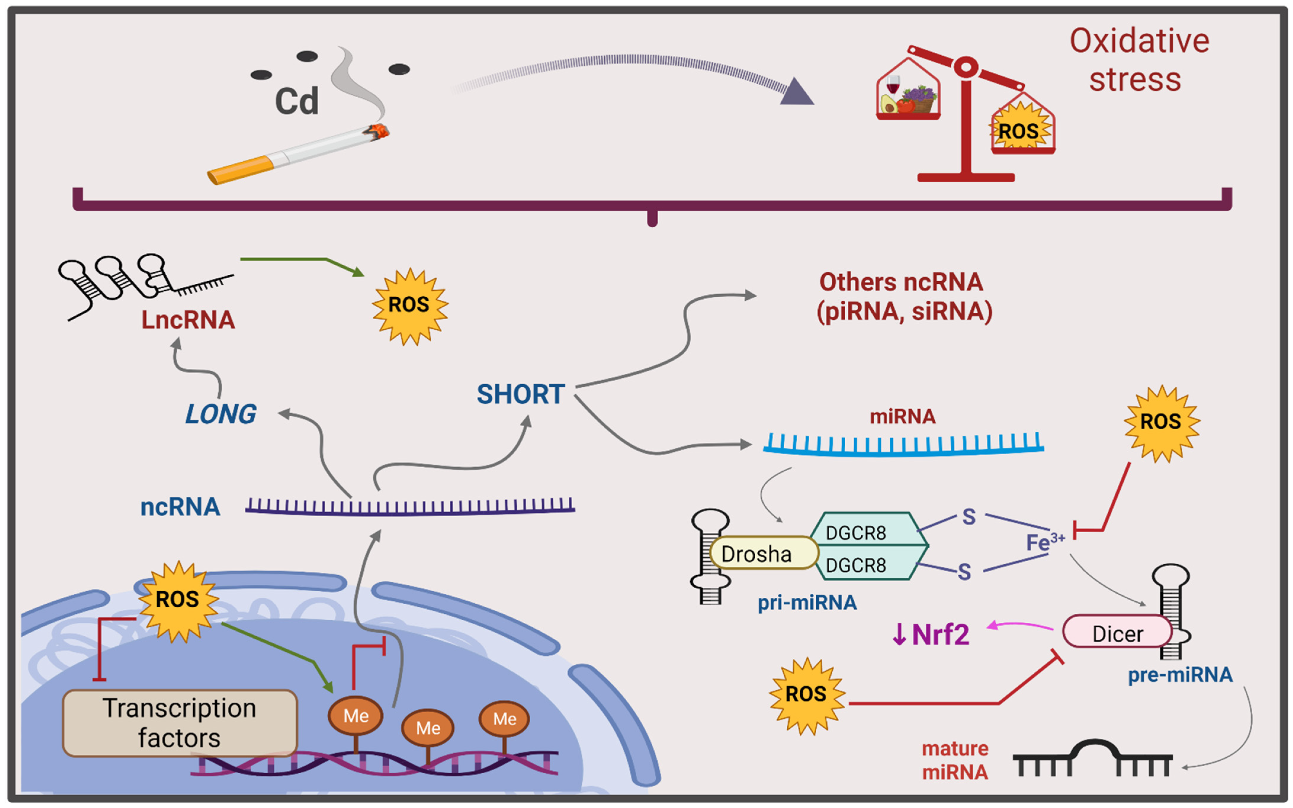 Oxygen 02 00015 g009