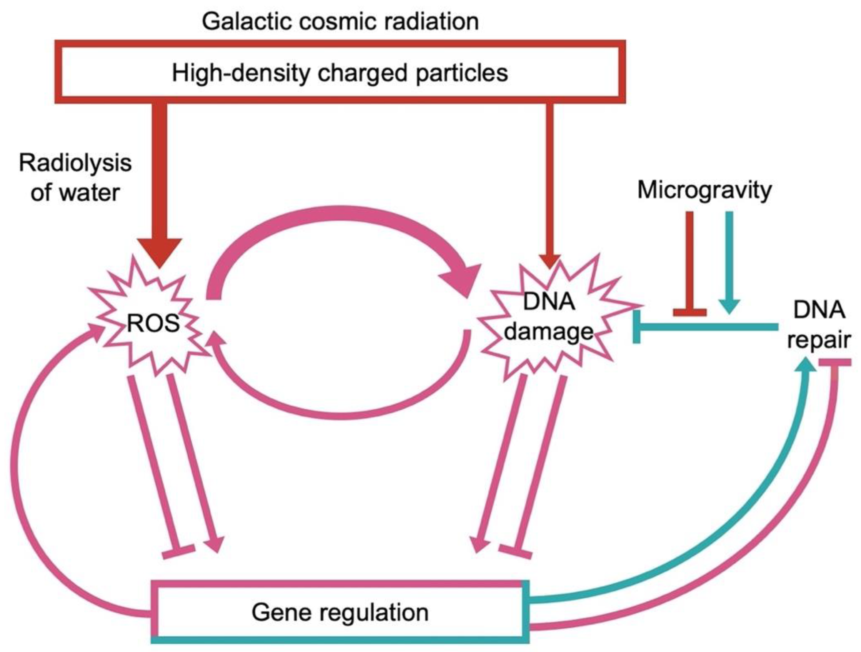 Oxygen 02 00016 g001