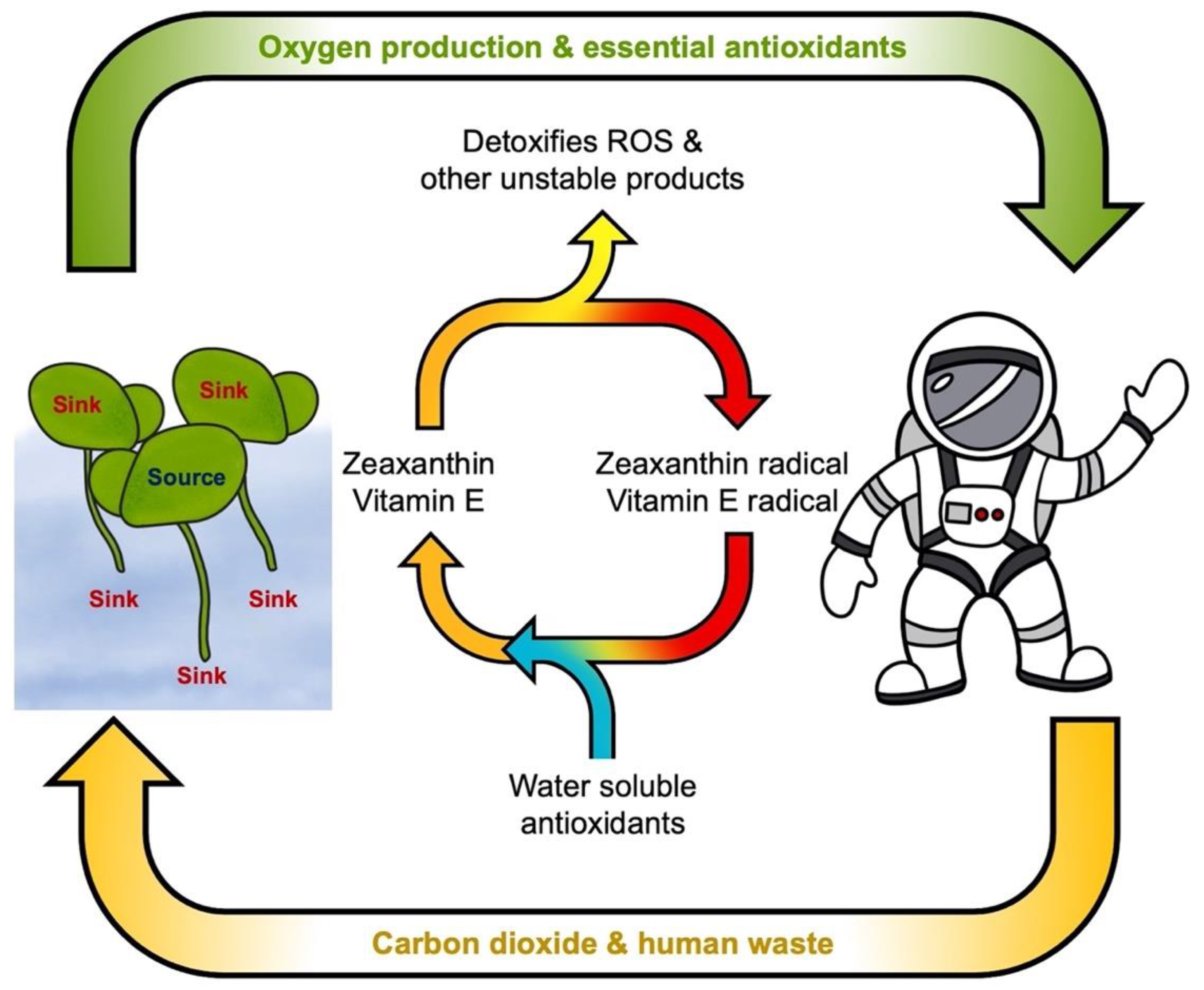 Oxygen 02 00016 g004