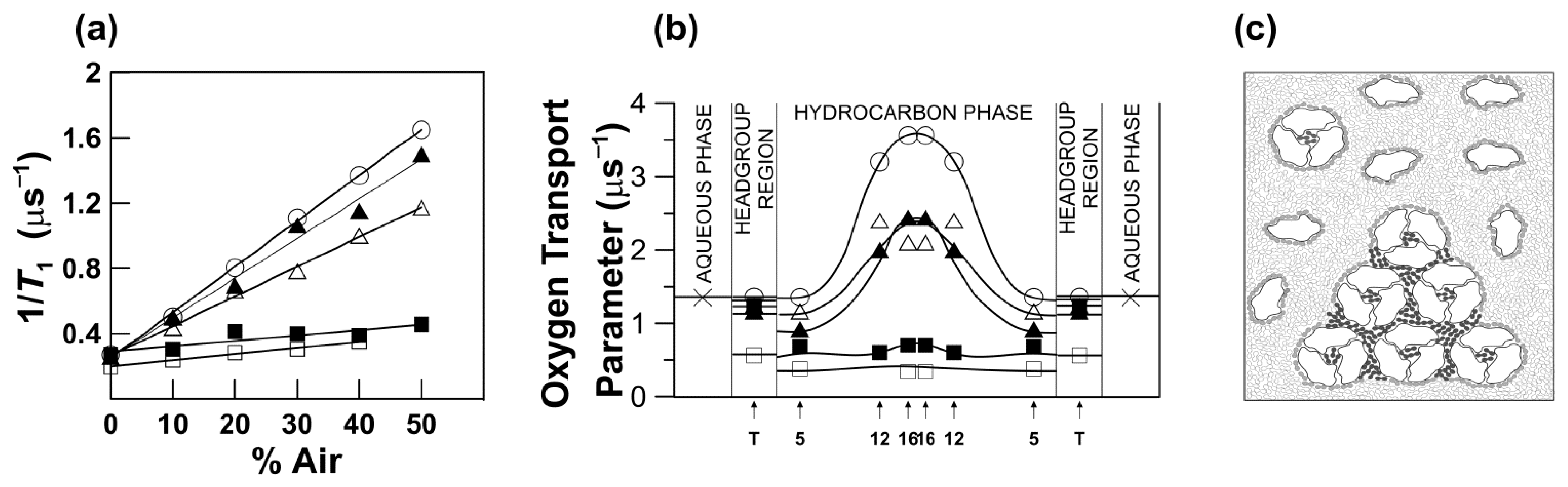 Oxygen 02 00021 g004 Oxygen 02 00021 g004