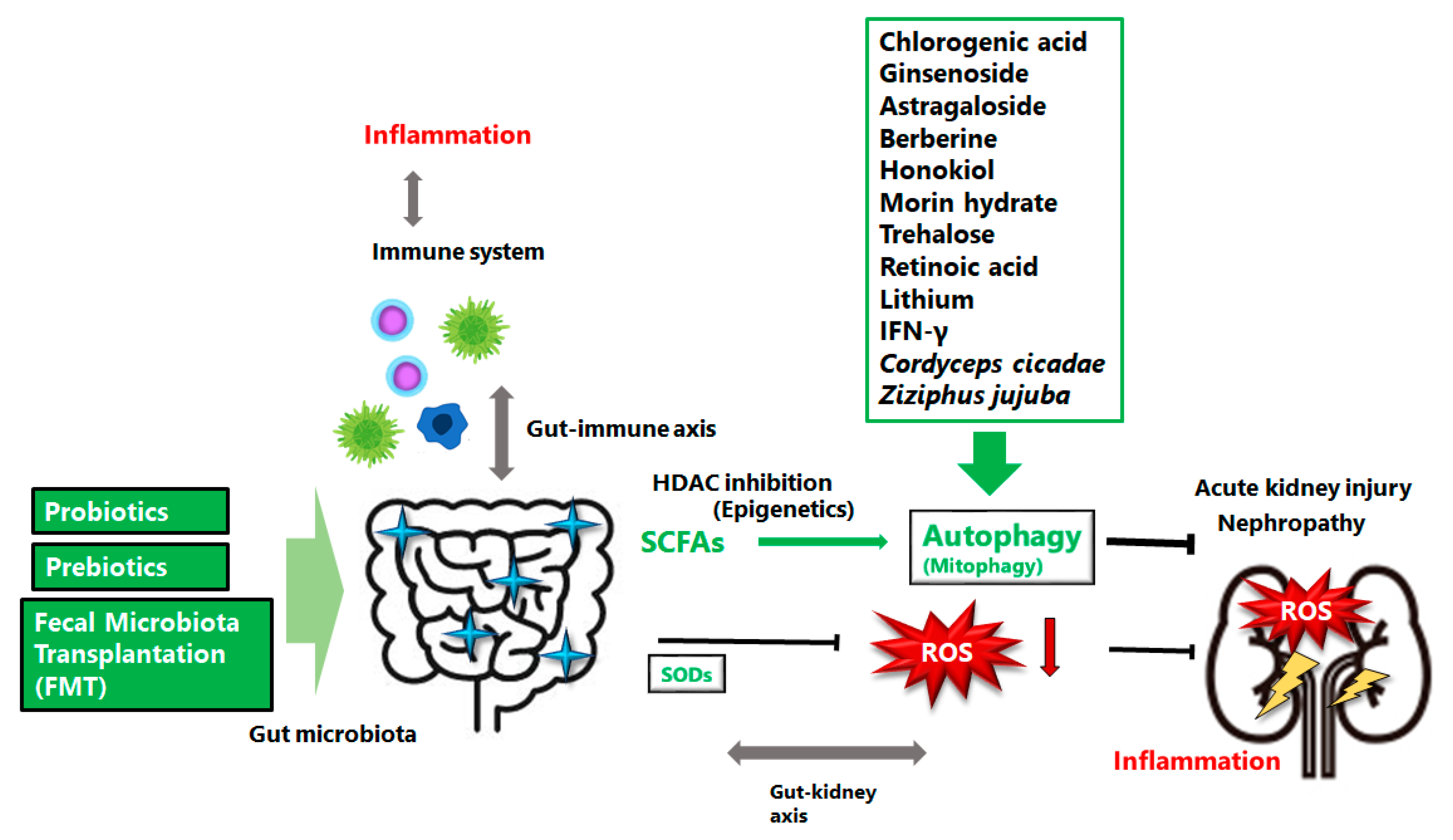 Oxygen 02 00022 g002