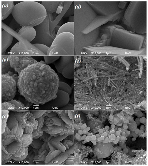 Oxygen | An Open Access Journal from MDPI