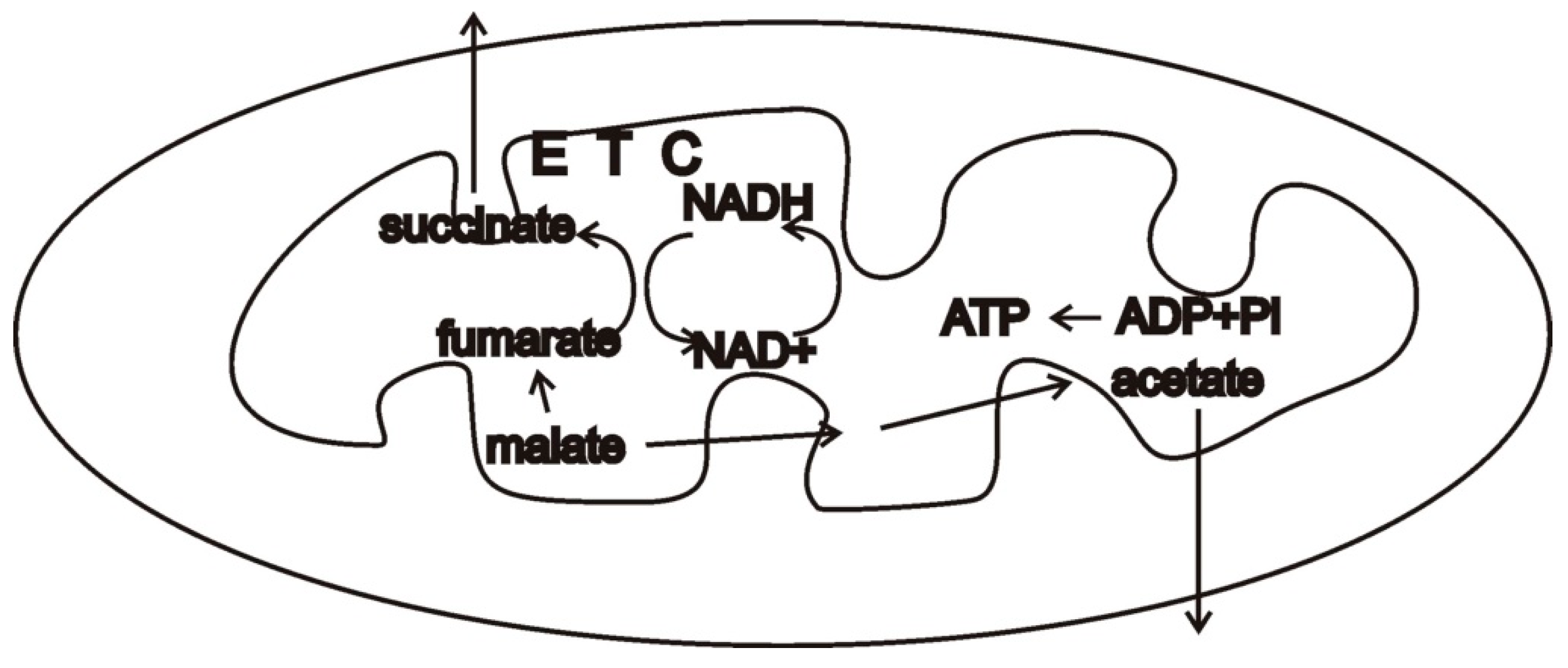 Oxygen 02 00032 g003 550