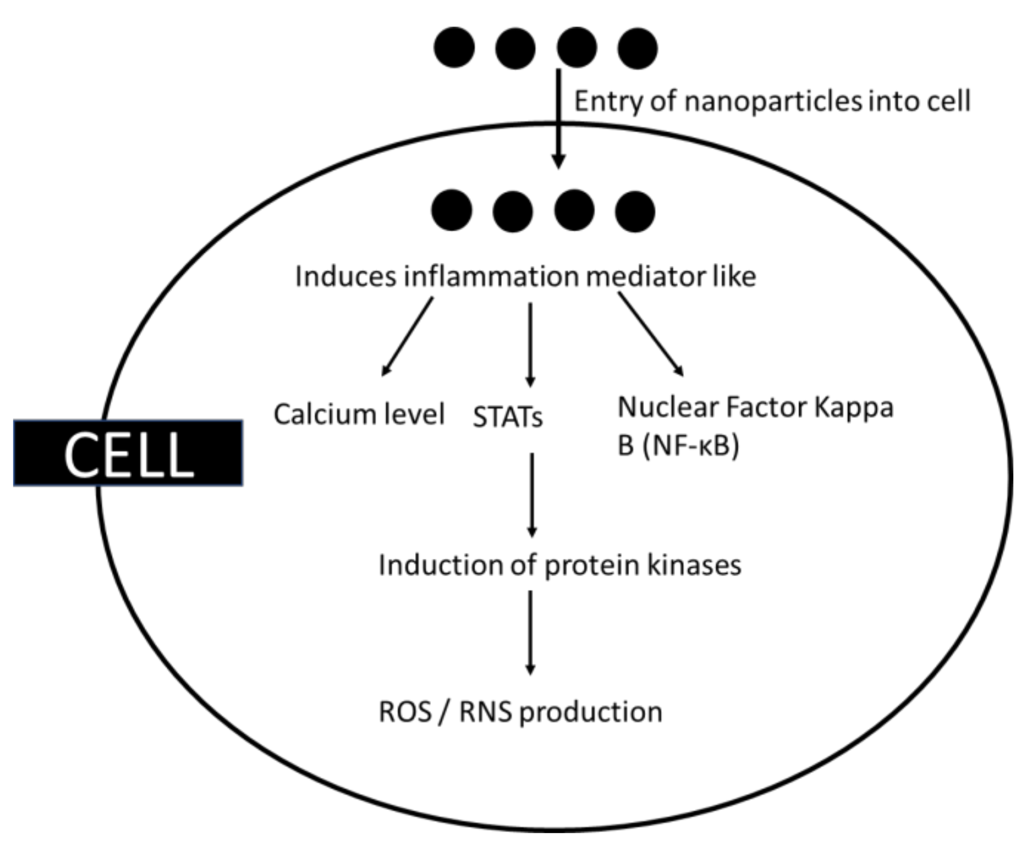 Oxygen 02 00039 g002 Oxygen 02 00039 g002