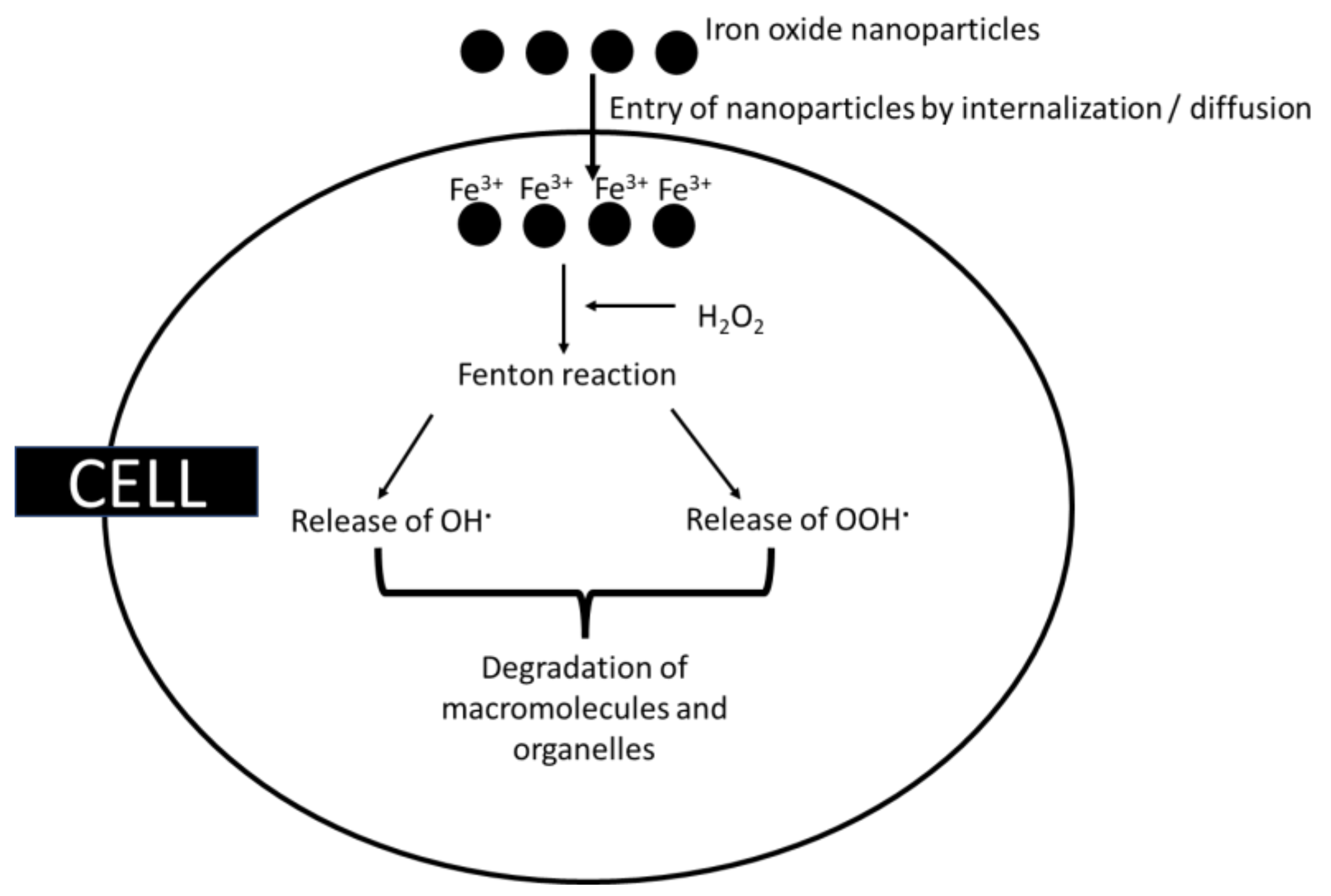 Oxygen 02 00039 g003 Oxygen 02 00039 g003