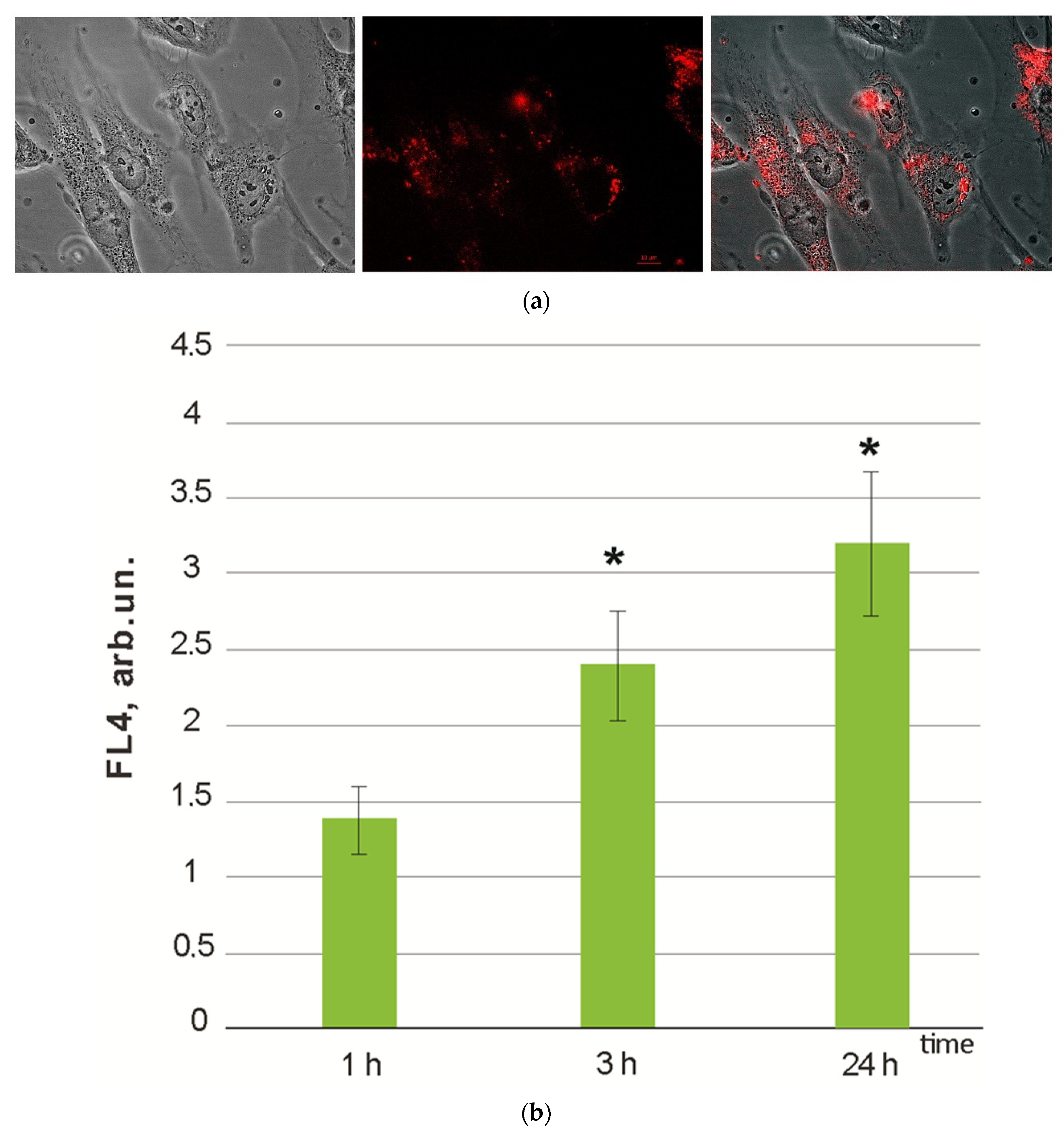 Oxygen 03 00001 g003
