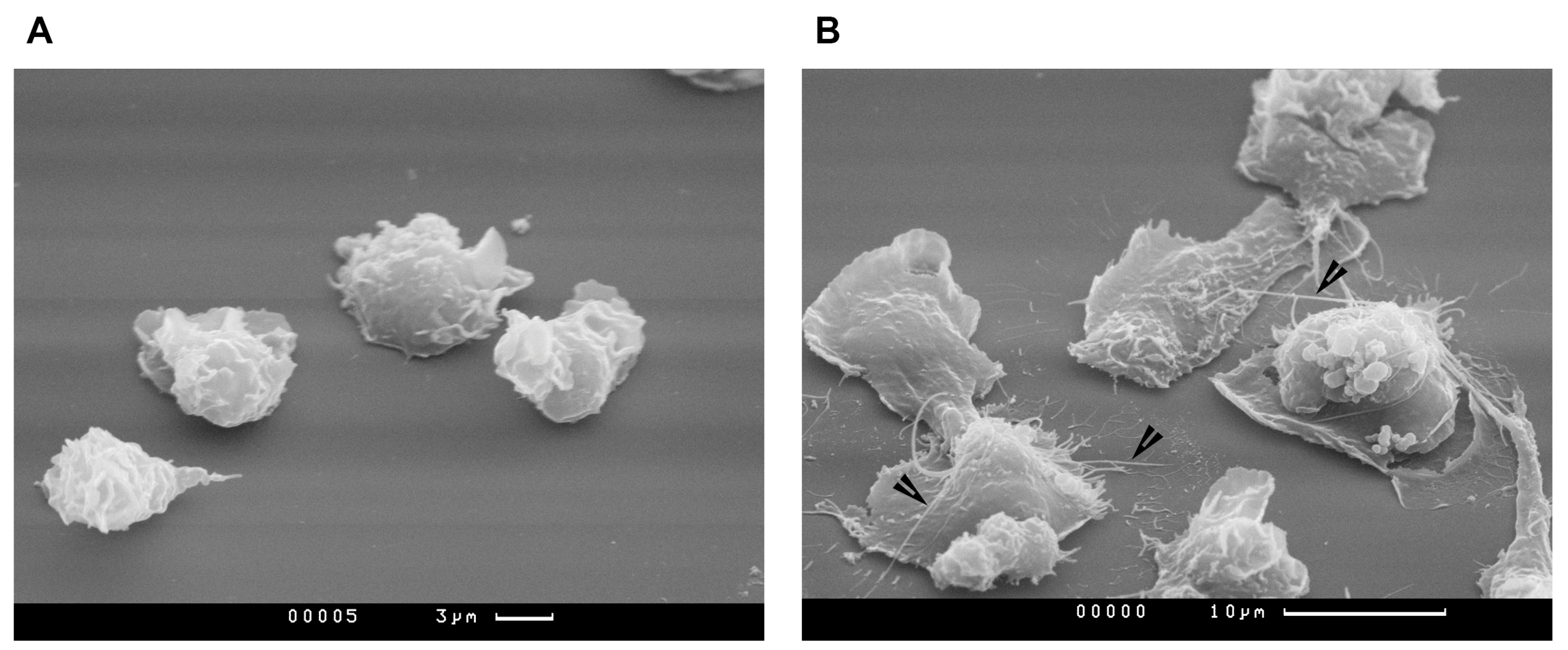 Oxygen 03 00002 g003 Oxygen 03 00002 g003