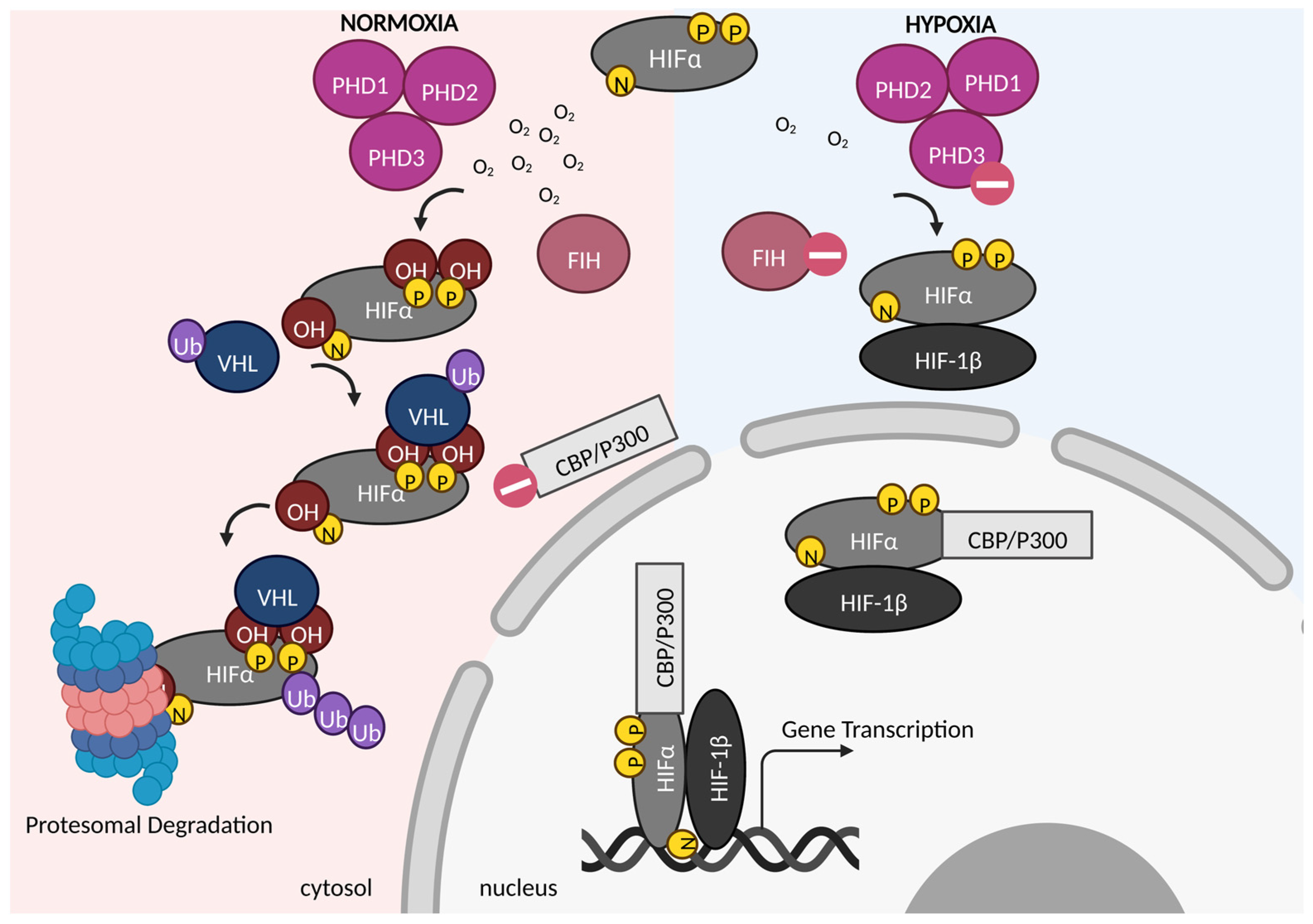 Oxygen 03 00005 g001 Oxygen 03 00005 g001