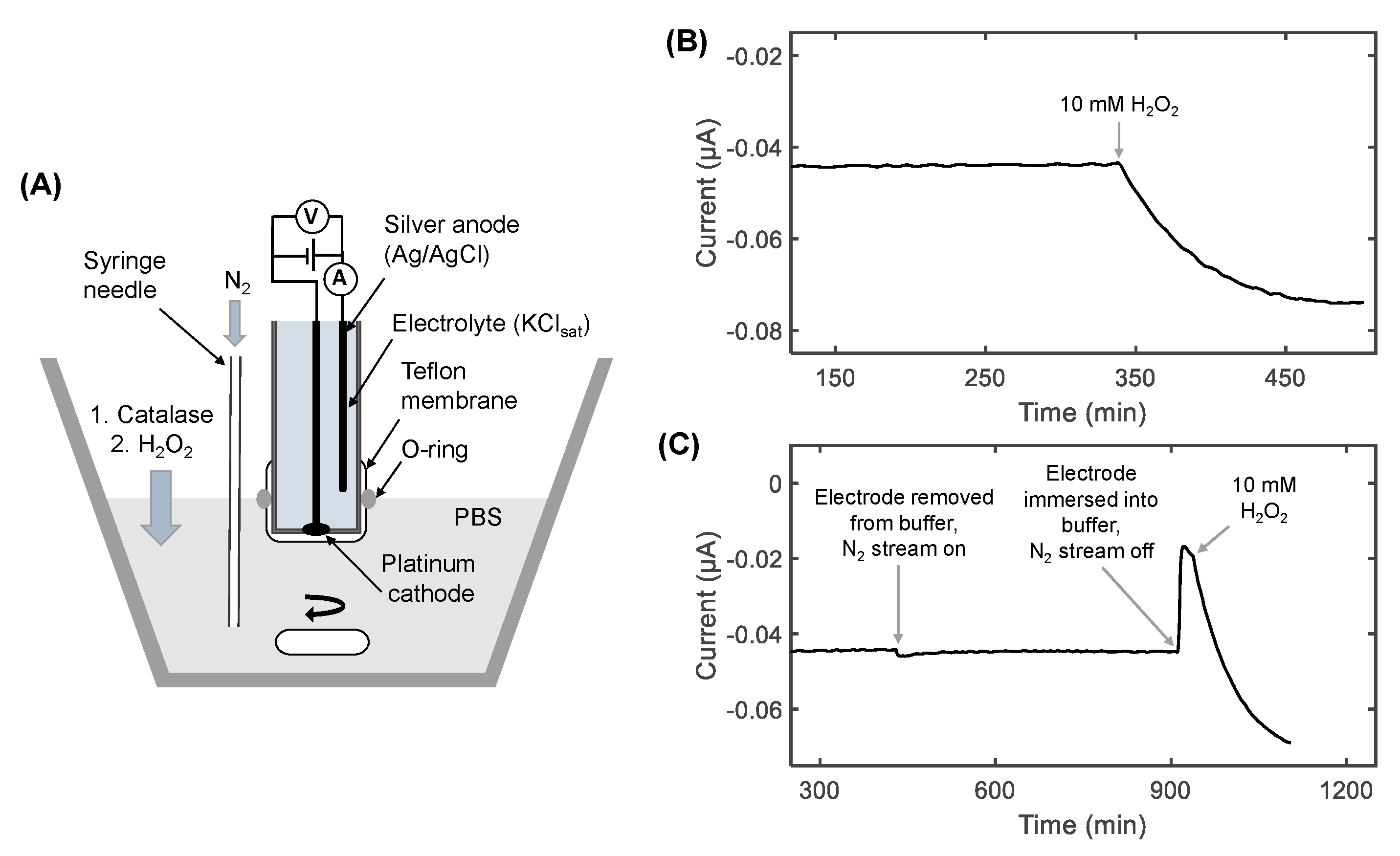Oxygen 03 00006 g001 Oxygen 03 00006 g001