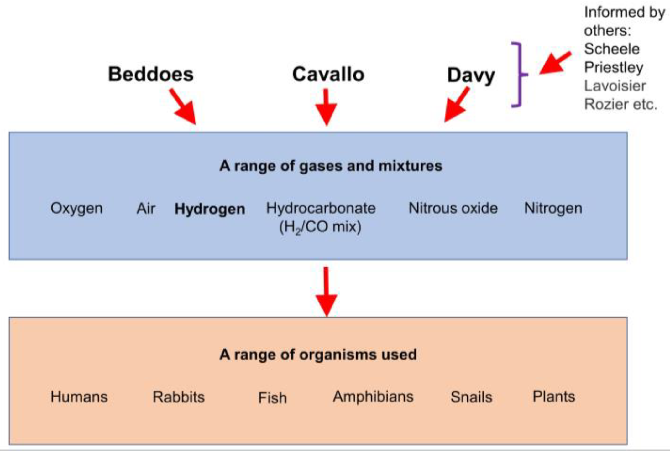 Oxygen 03 00008 g001