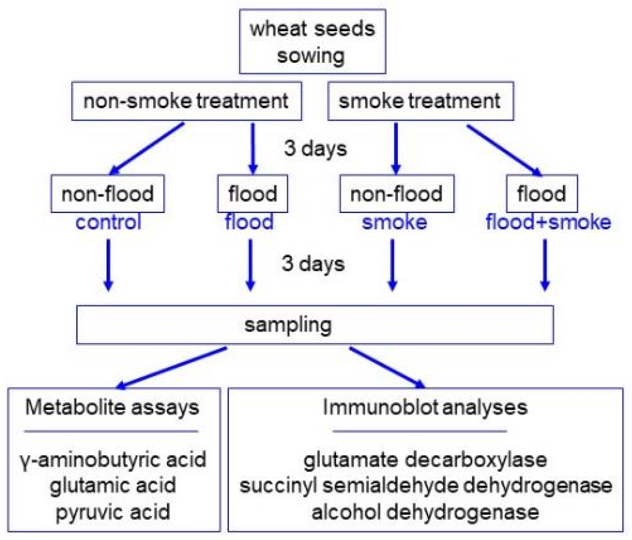Oxygen 03 00009 g001 Oxygen 03 00009 g001