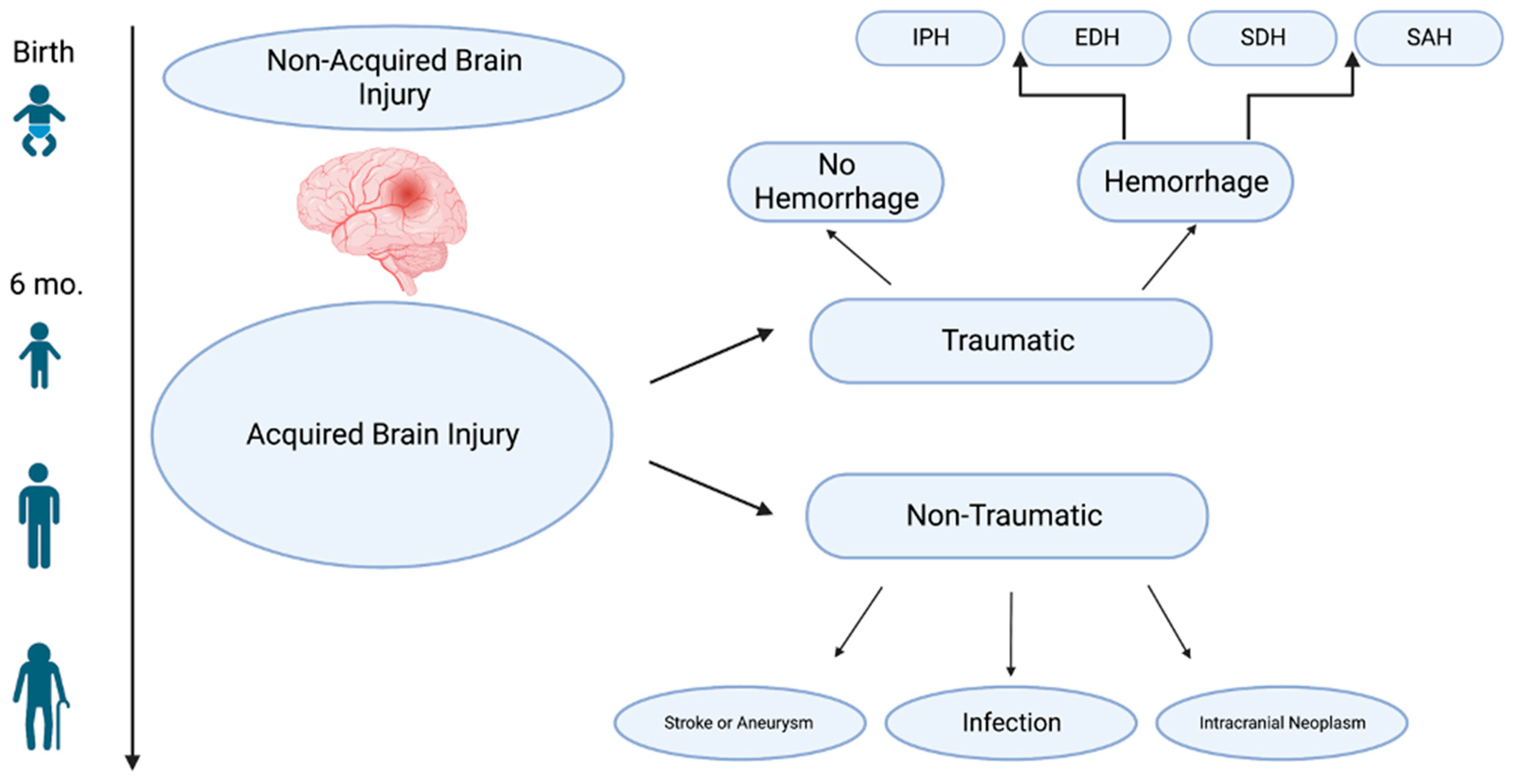 mechanisms-of-mitochondrial-oxidative-stress-in-brain-injury-from
