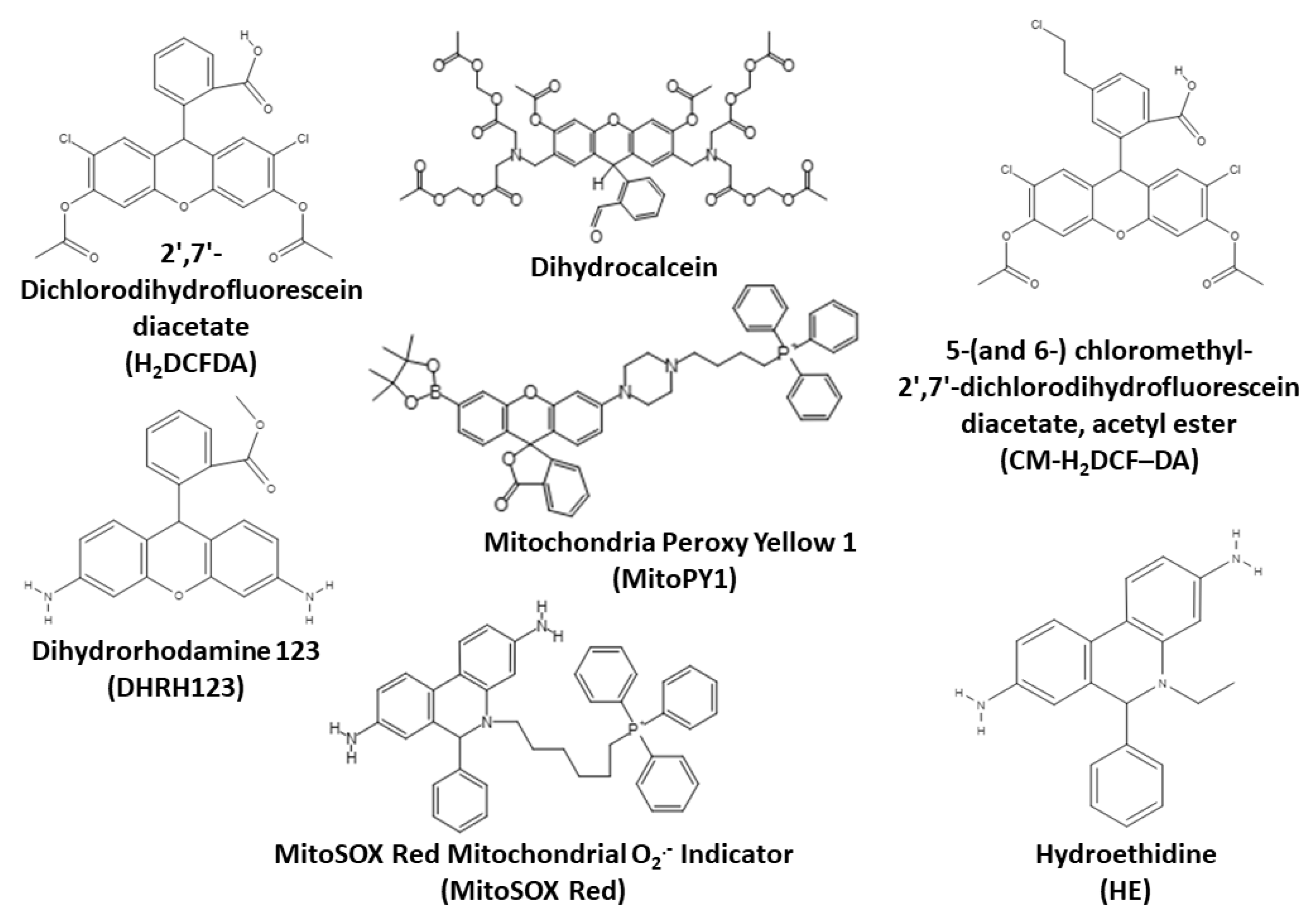 Oxygen 03 00016 g006